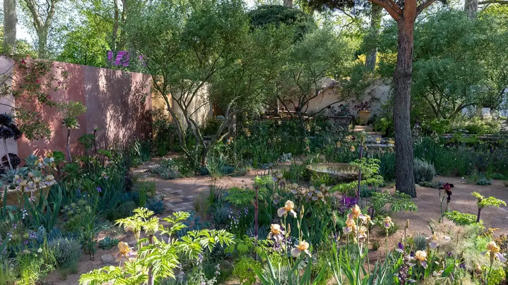 A naturalistic show garden with a terracotta wall, mature trees, a gravel path, a circular water feature, and varied planting of irises.