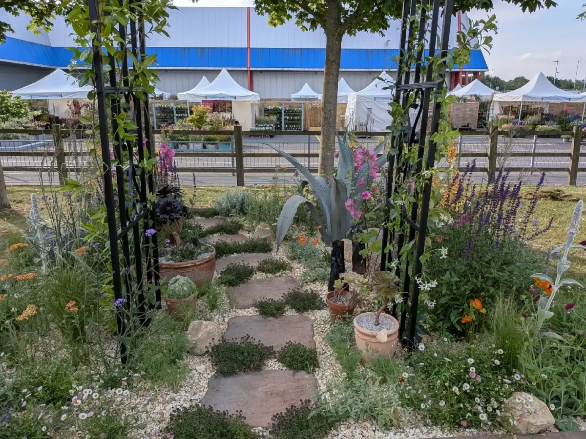A naturalistic garden border features a winding stone path, light gravel, black metal trellises with climbers, a large agave, and colourful drought-tolerant plants.