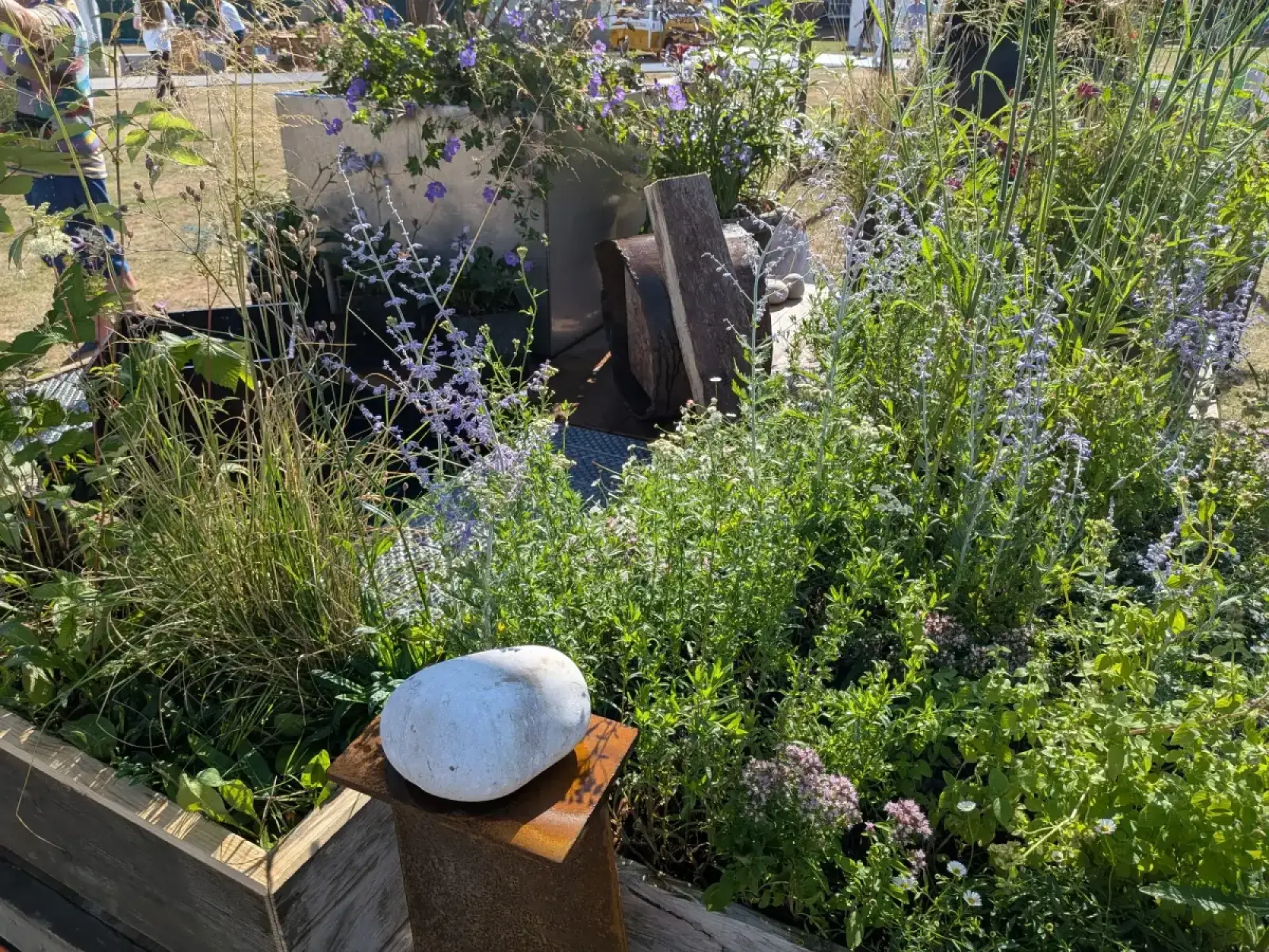 A tranquil cube garden with a white pebble sculpture on a rusty plinth, a dark wooden water feature, and naturalistic planting of purple flowers and grasses.