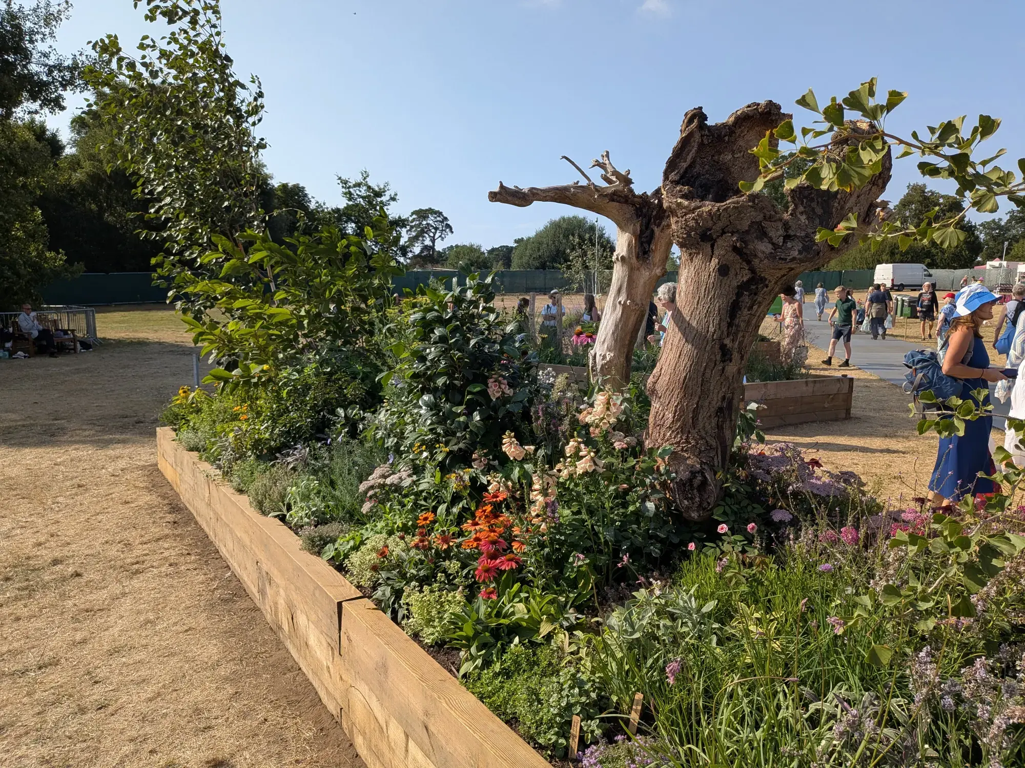 A long raised timber border features a prominent gnarled tree trunk surrounded by dense mixed perennial planting with orange and pink flowers.