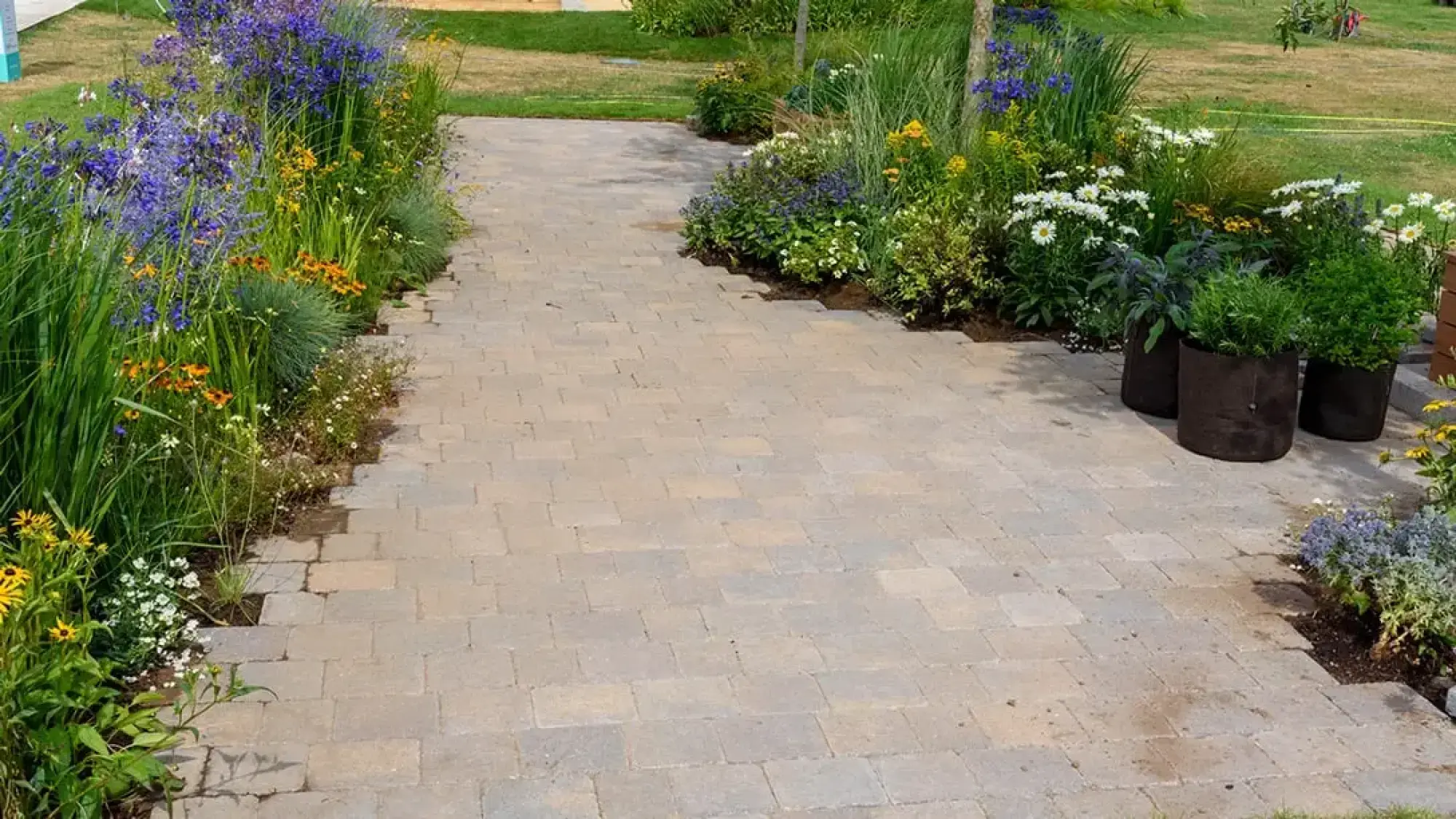 A winding paved path meanders through dense, colourful flower borders featuring blue, yellow, and white blooms, with container herbs on one side.