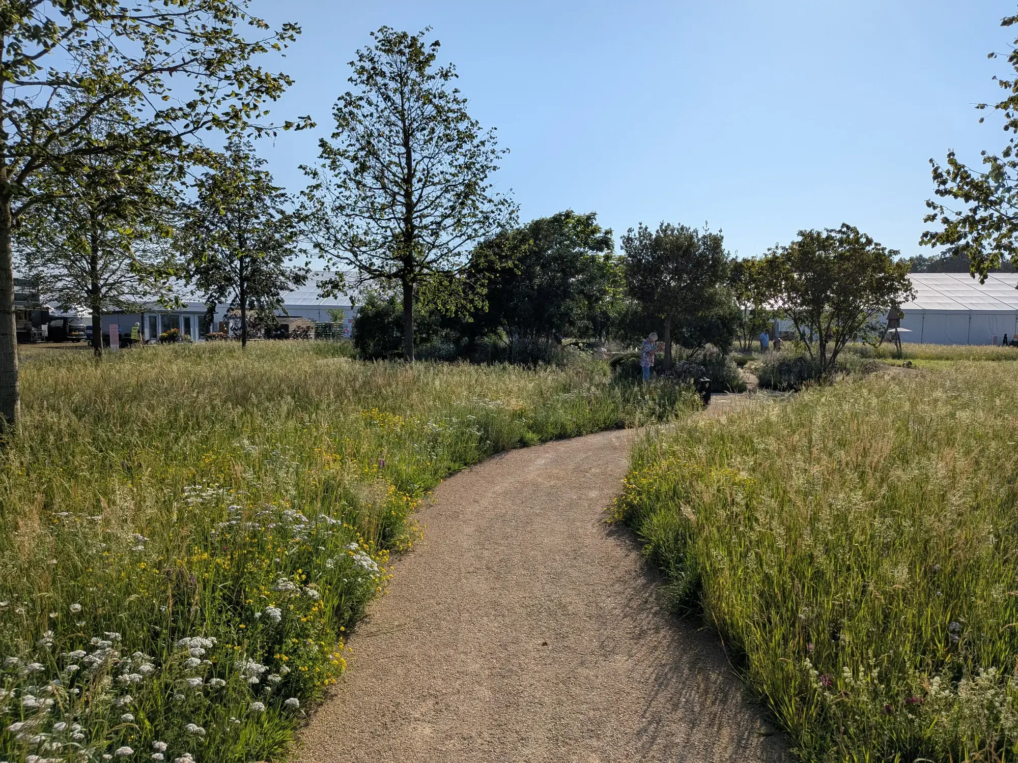 The Julia Rausing Garden