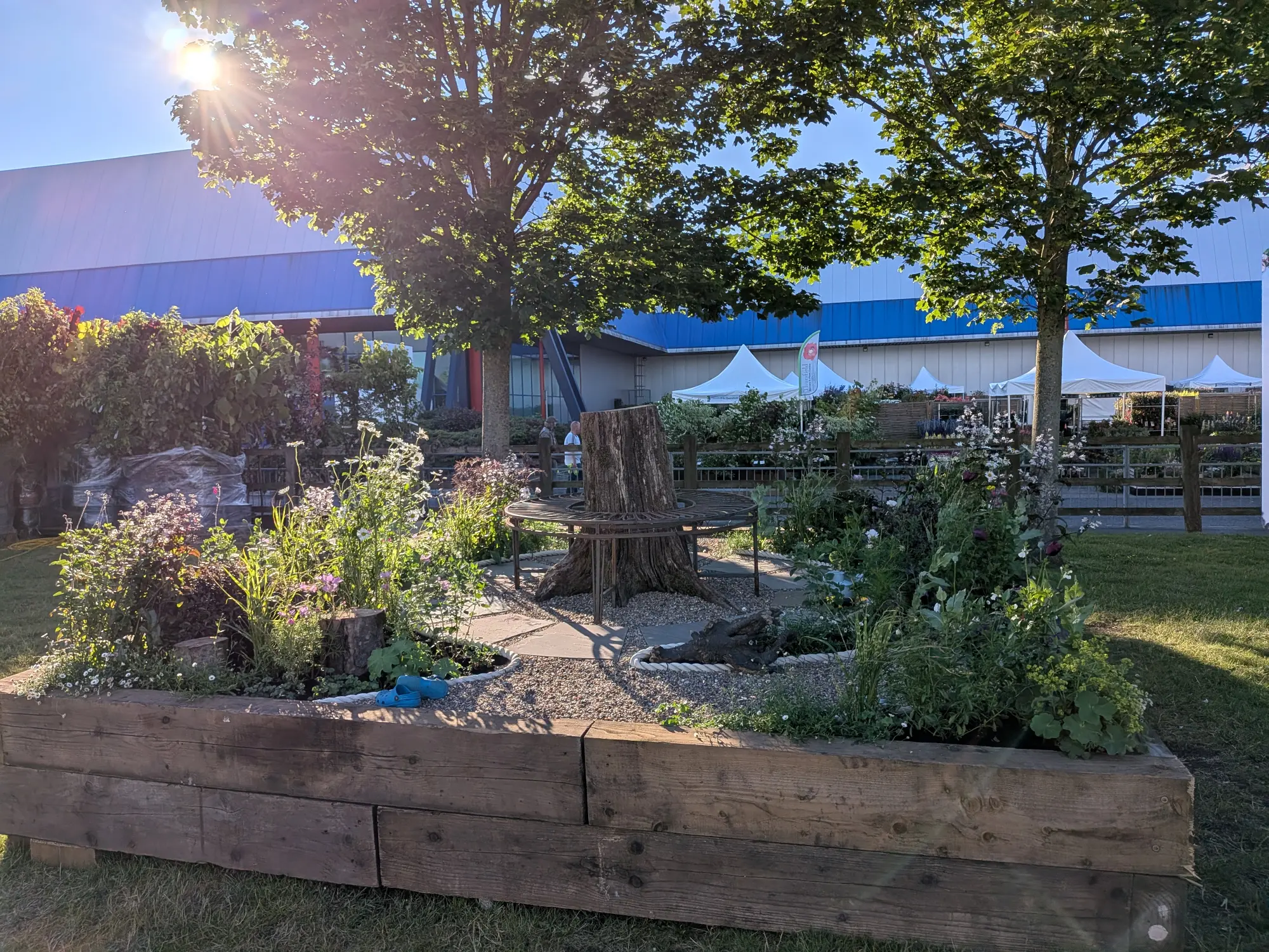A raised timber border garden with a central tree stump featuring a metal circular bench, surrounded by a gravel path, stepping stones, and informal mixed perennial planting with white and purple flowers.