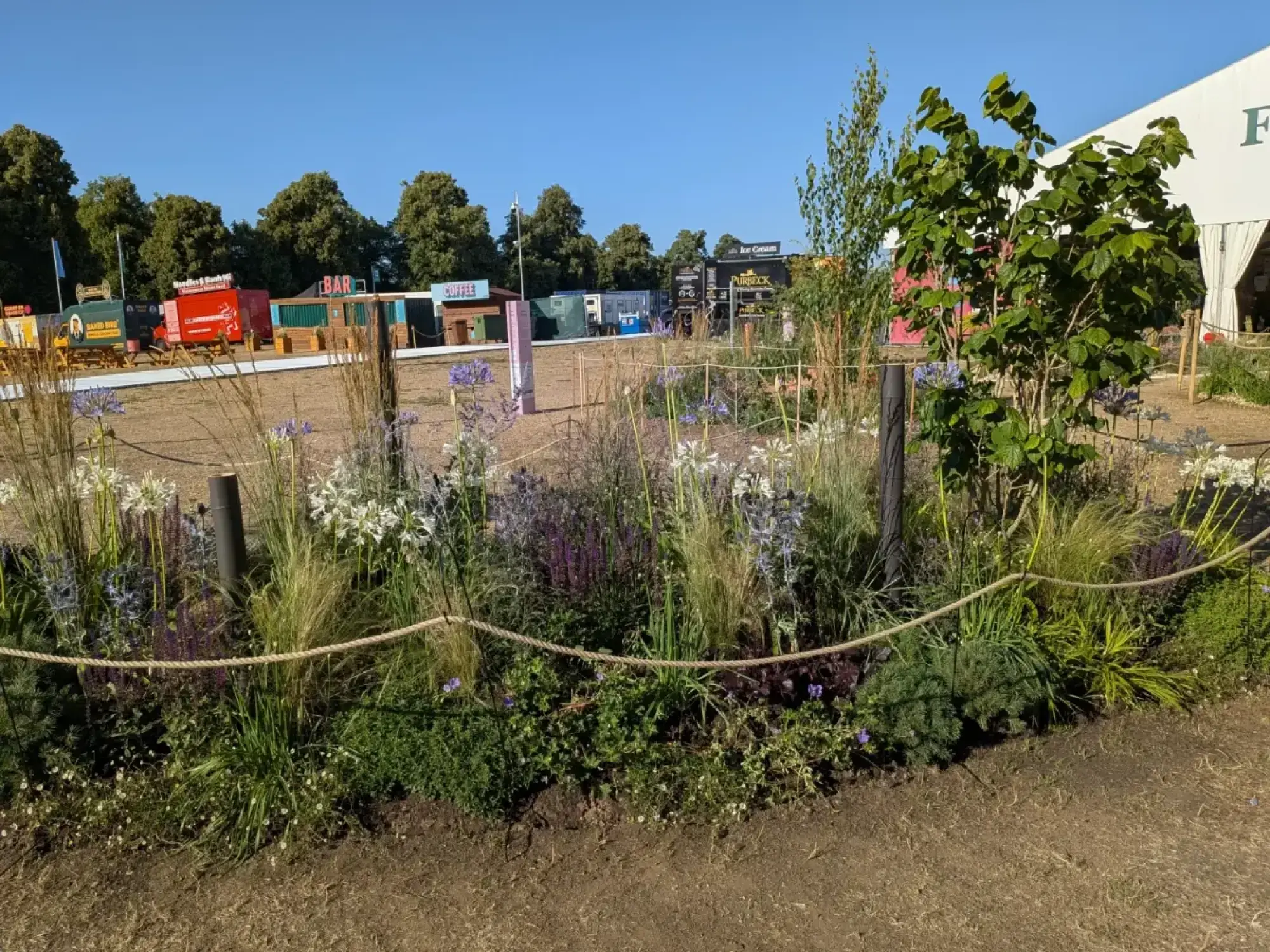 A vibrant pocket planting garden with ornamental grasses, white and purple Agapanthus, purple salvia, and green shrubs, bordered by rope.