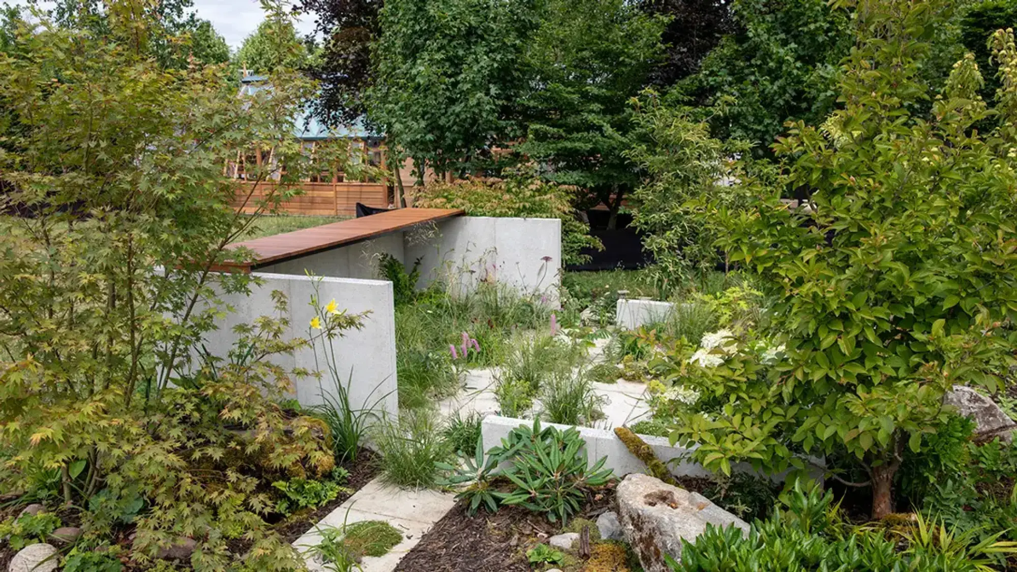 A modern show garden featuring grey concrete walls and planters interwoven with lush green planting, a wooden ramp, and natural boulders.