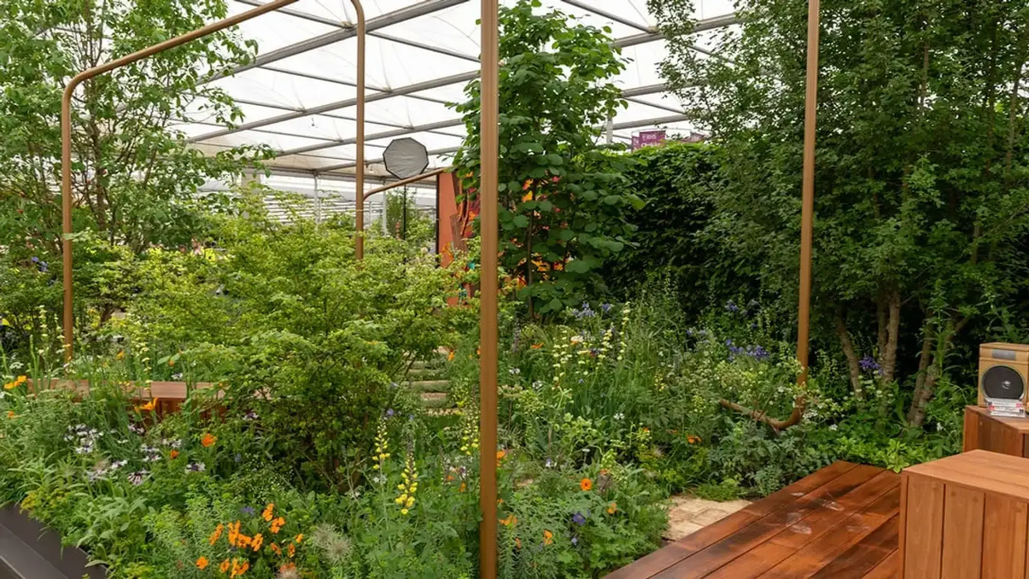 A lush, naturalistic garden features a copper-coloured metal frame overhead, timber decking and benches, and a dense array of mixed green foliage with orange, yellow, and blue flowers.