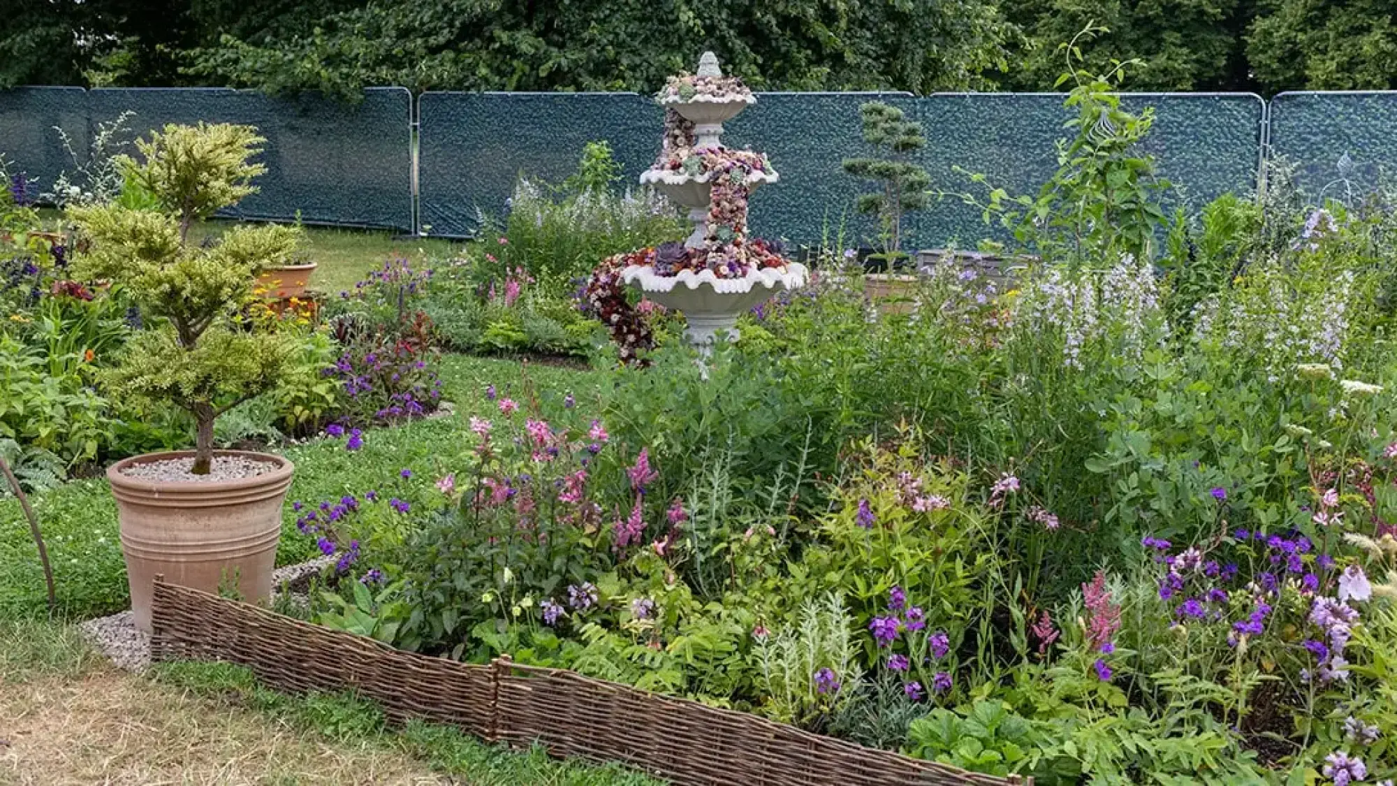 A vibrant wildlife garden with a multi-tiered fountain planted with purple, pink, and white flowering perennials, a potted shaped tree, and a low wattle fence.