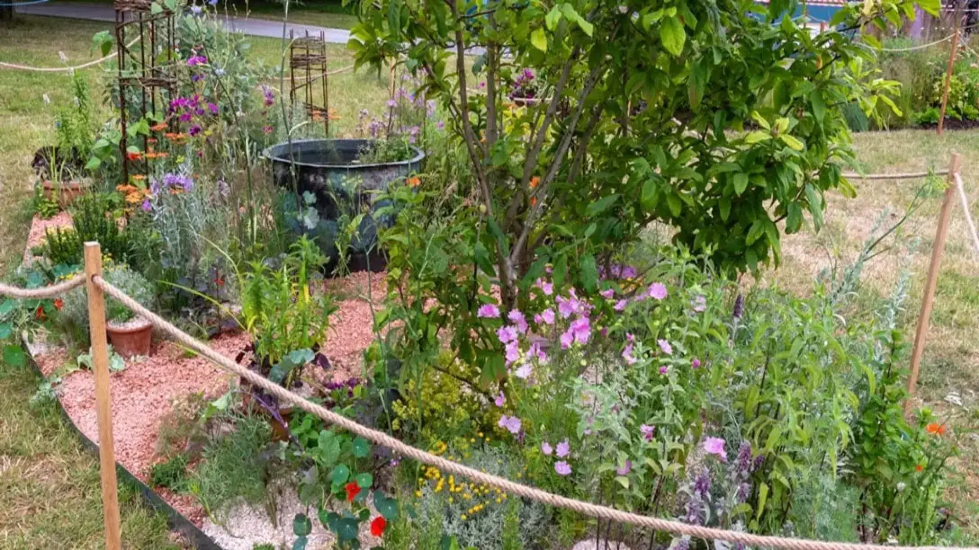 An informal edible pocket garden features a small fruit tree, various herbs and vegetables, and colourful flowers, with crushed aggregate paths and a rope border.
