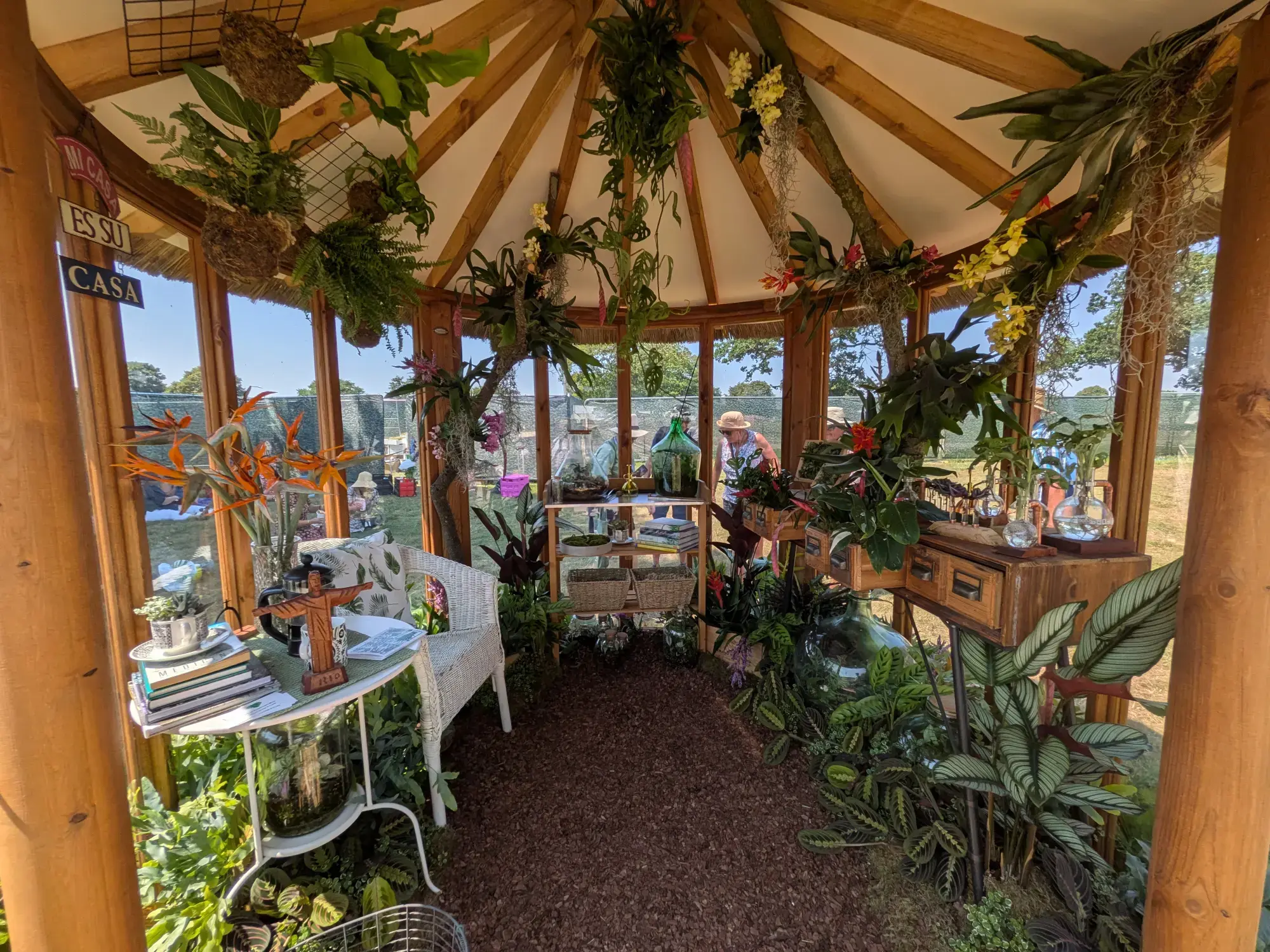 Re-create yourself with Houseplants