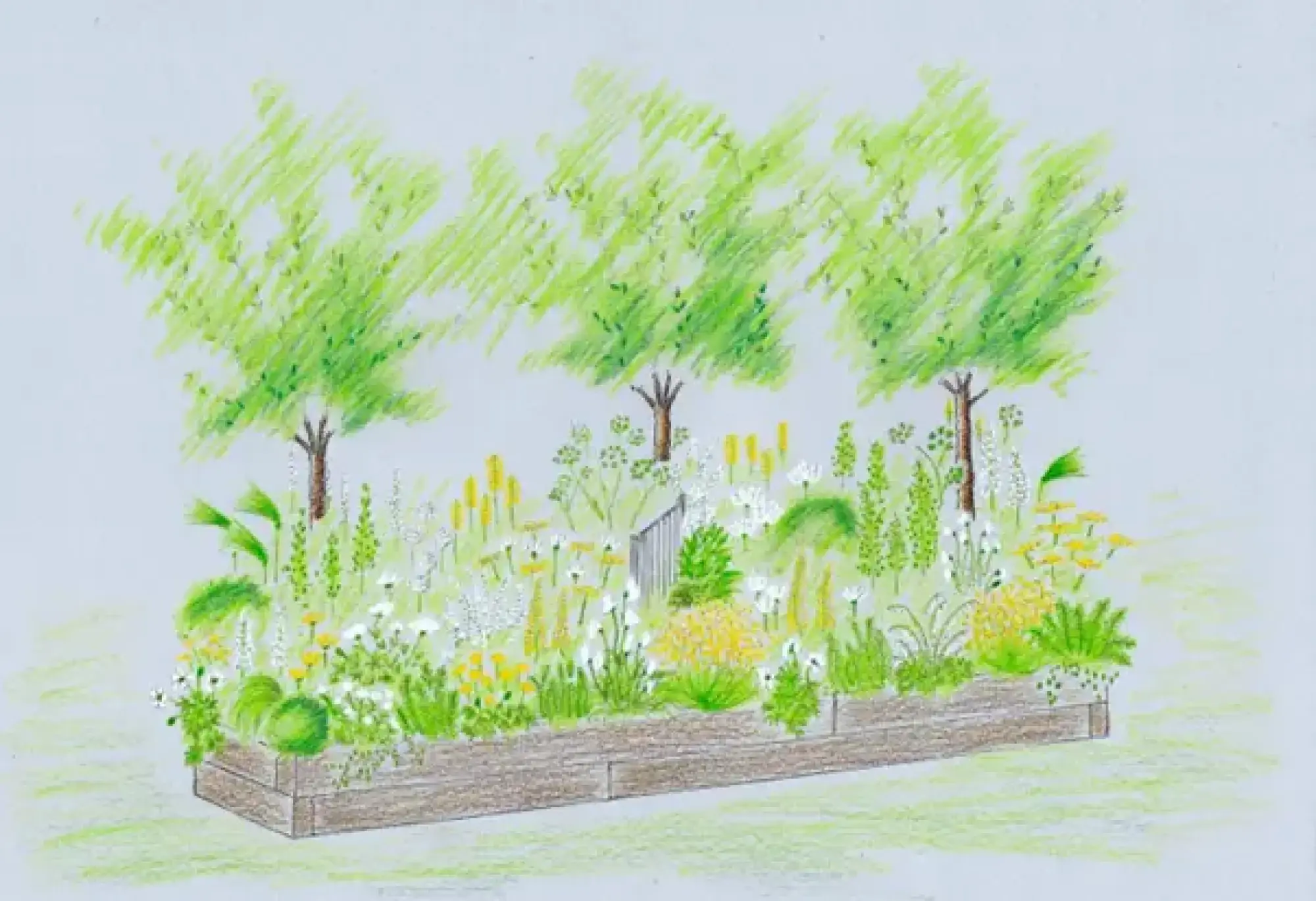 A raised timber garden border overflowing with white and yellow herbaceous plants and three trees, featuring a small grey decorative screen in the center.