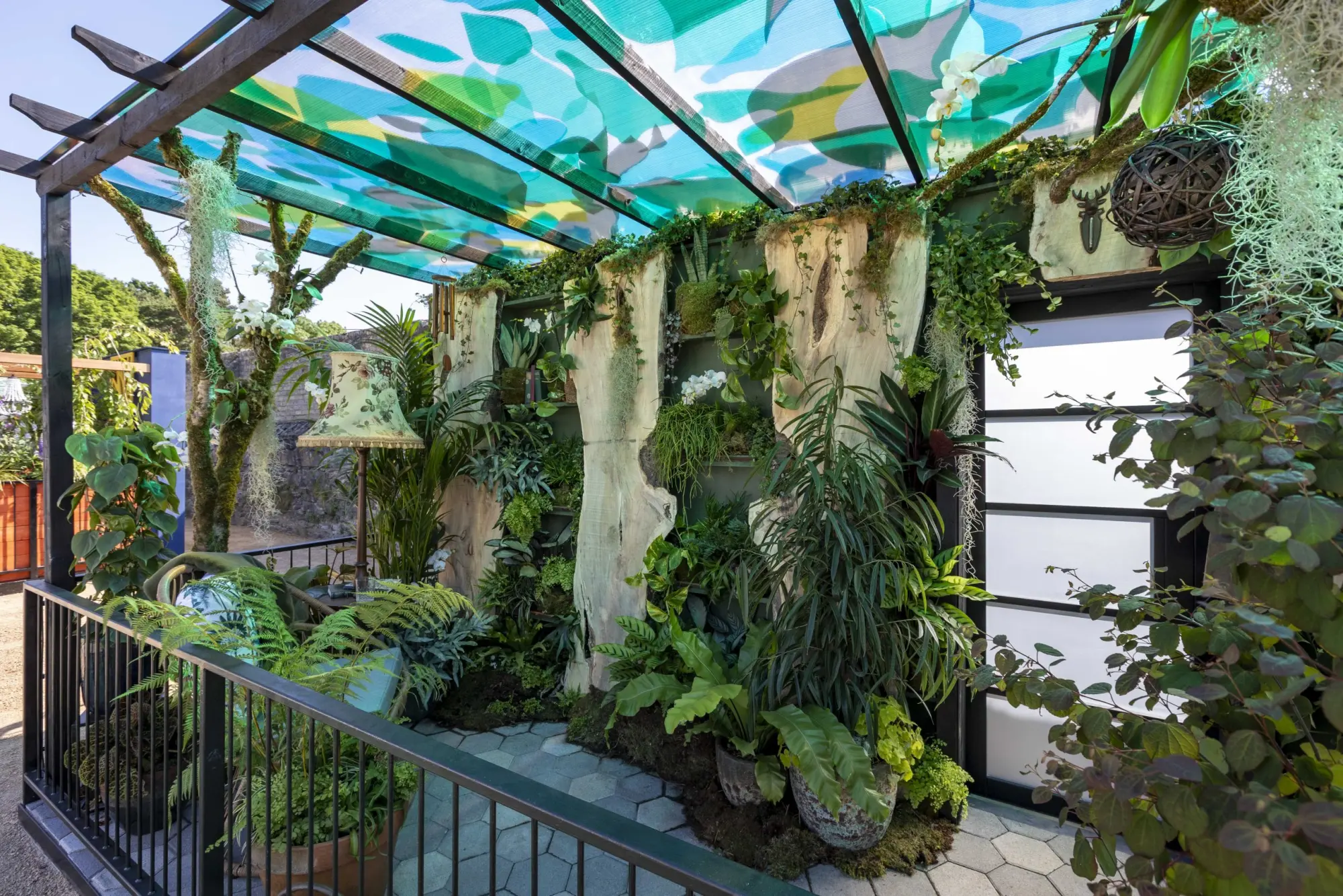 The Plant Collector's Balcony