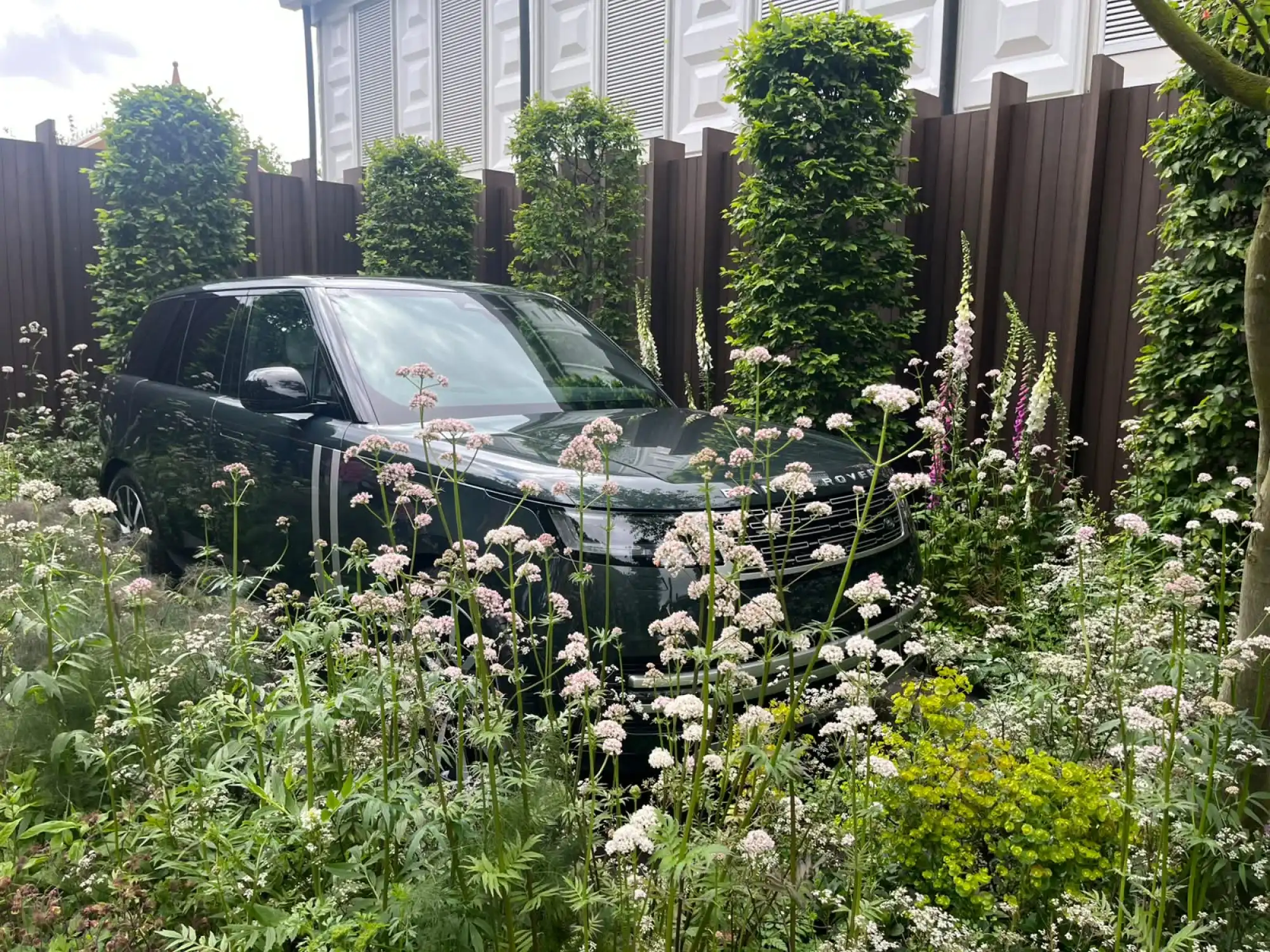 A dark green Range Rover SUV is nestled in naturalistic planting featuring pale pink valerian, white and purple foxgloves, and tall columnar trees.