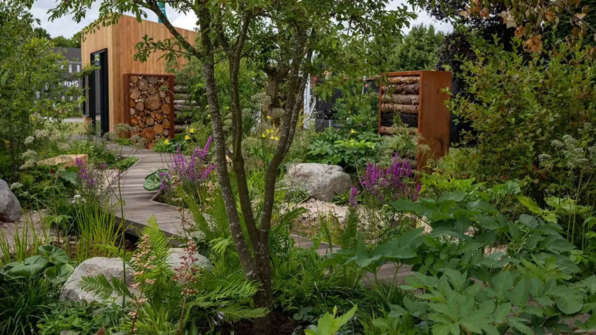 A resilient garden features a light timber cabin, a winding wooden boardwalk, and lush naturalistic planting with ferns, purple flowers, and large boulders.