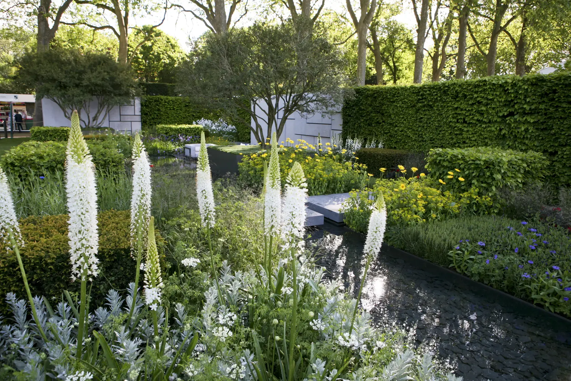 A contemporary show garden showcases tall white foxtail lilies, a dark reflective water canal with grey paving, a geometric white wall, and vibrant beds of yellow, blue, and green plants.