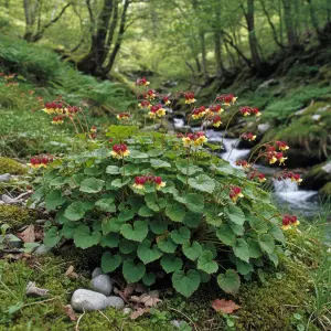 Epimedium alpinum