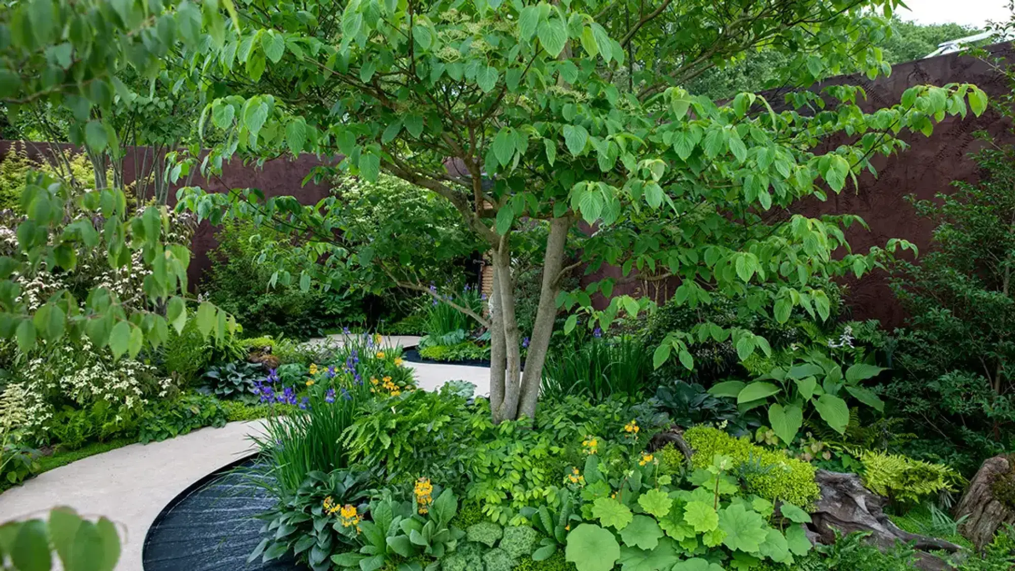 A lush sanctuary garden featuring a multi-stemmed tree, a winding light path leading to a dark water feature, and abundant green foliage with pops of yellow, blue, and white flowers.
