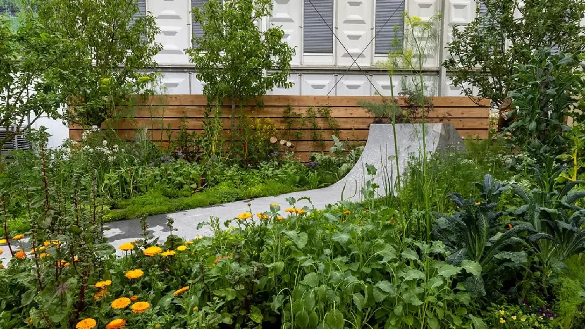 A vibrant productive garden with a curved grey path and sculptural wall, densely planted with edibles like kale, orange marigolds, and small trees.