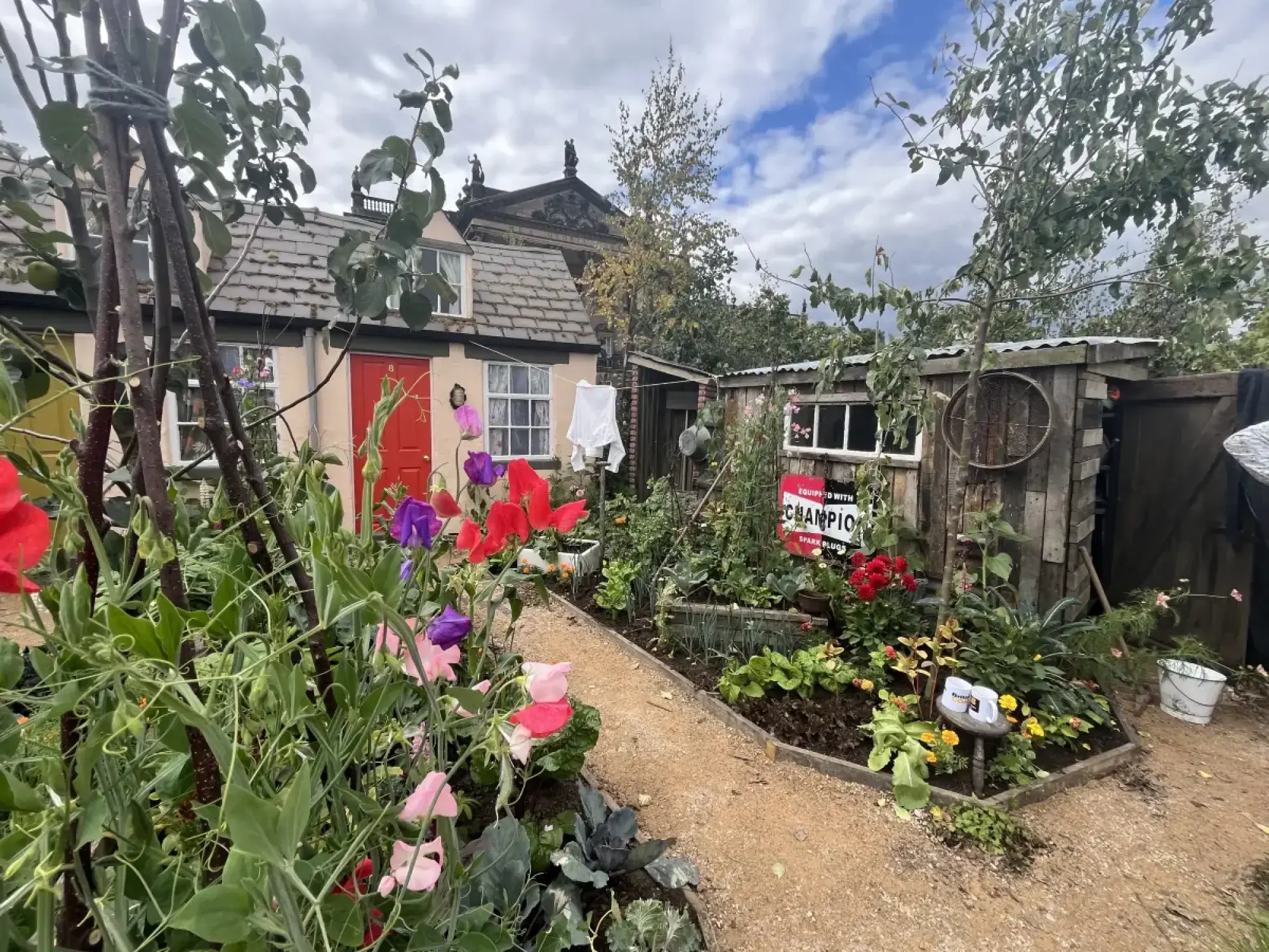 A rustic cottage garden with a small house and red door, a wooden shed, a gravel path, and beds of colourful sweet peas and vegetables.