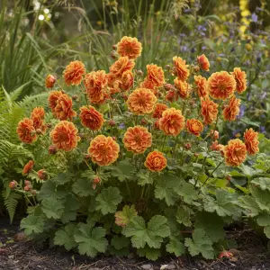 Geum 'Tales of Hex'
