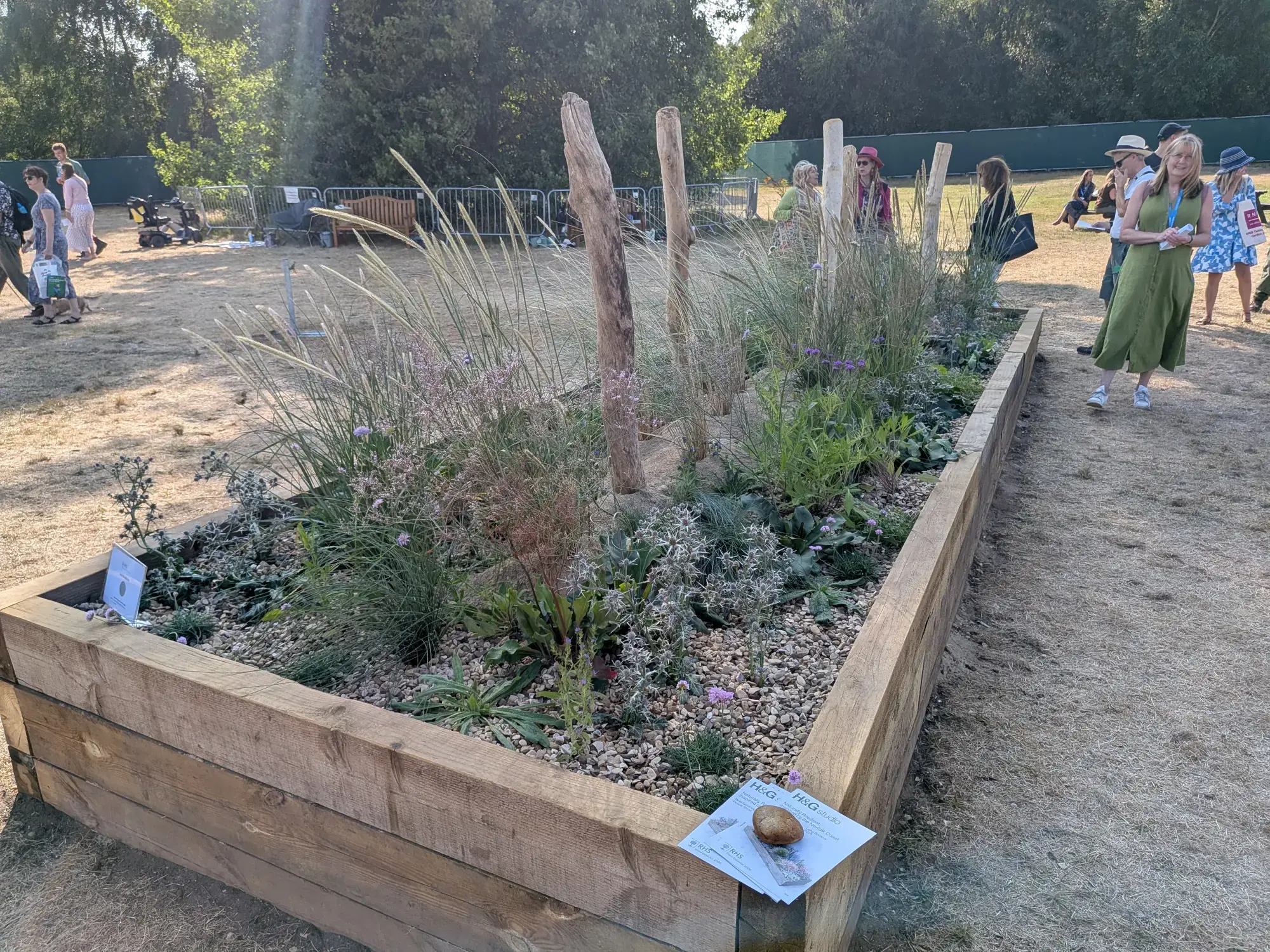 A long raised timber border with weathered wooden posts, ornamental grasses, spiky grey sea hollies, and purple flowers set in gravel.