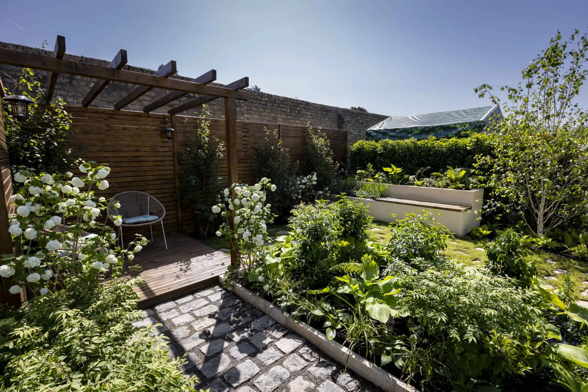 A tranquil small garden with a wooden pergola, deck, woven chair, cobblestone path, white snowball viburnum, and a white raised planter with a wooden bench.