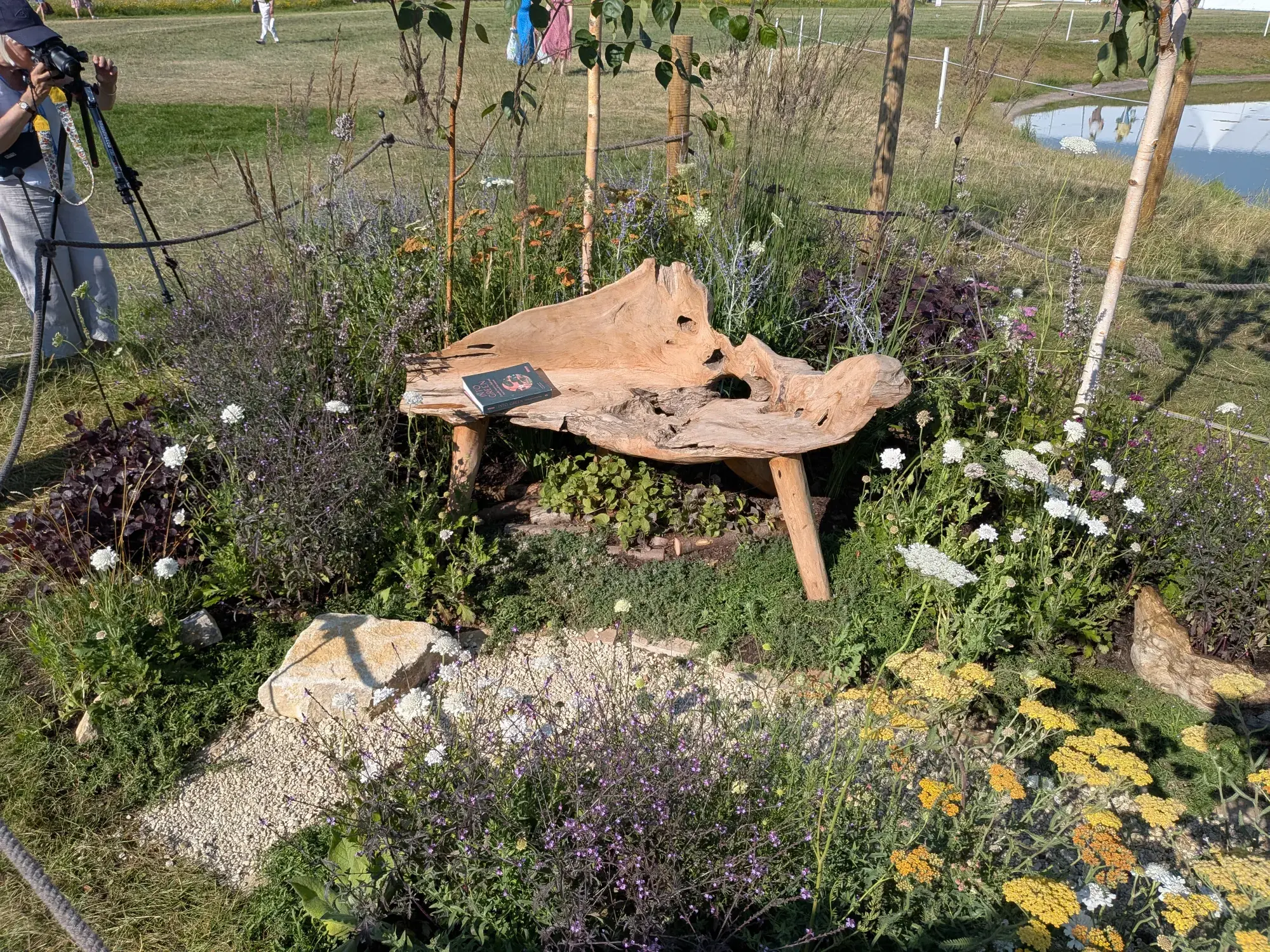 An organic timber bench is nestled in a naturalistic pocket planting, featuring purple, white, and yellow herbaceous perennials and grasses.