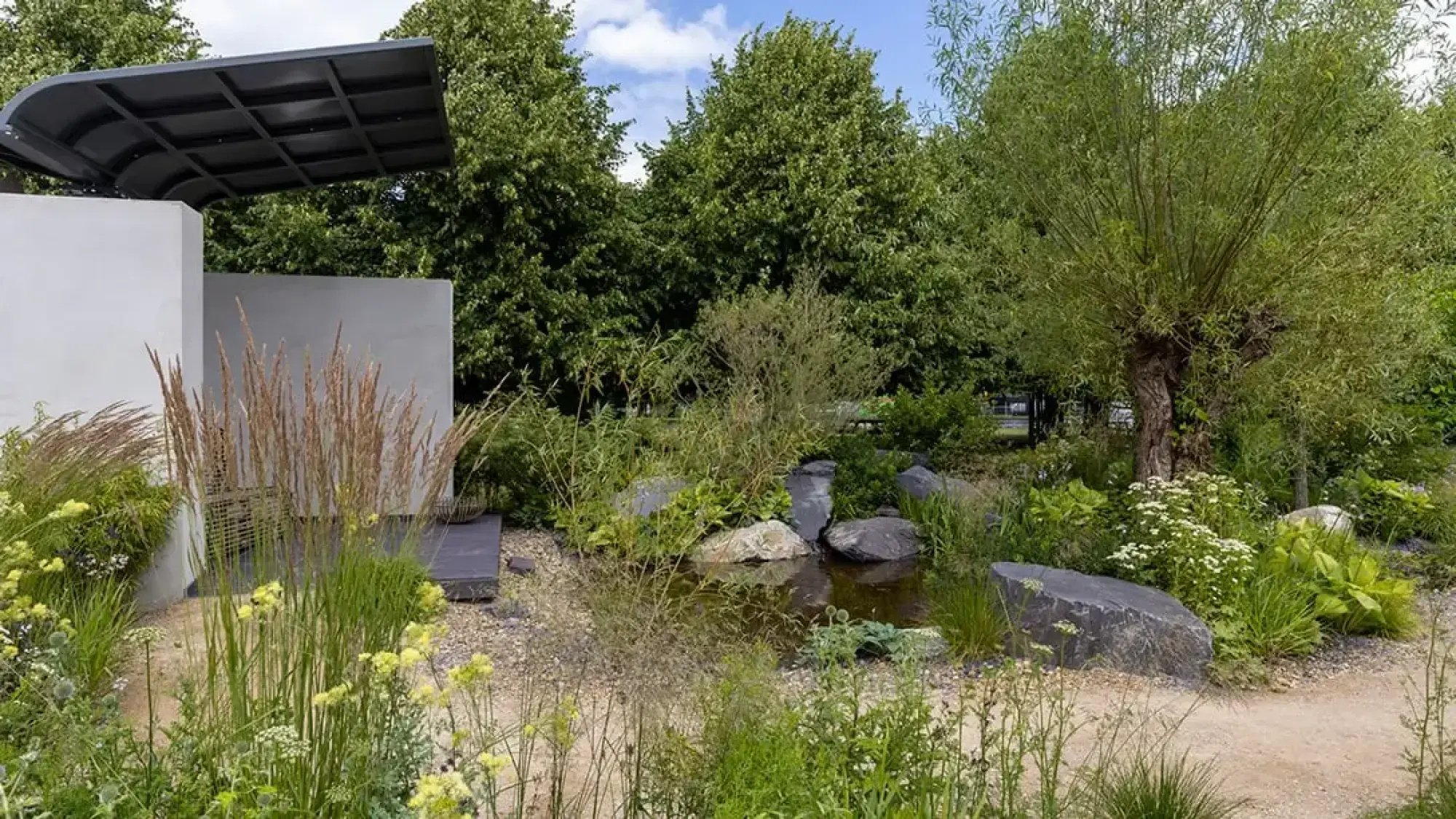 A serene garden features a modern curved black canopy over white walls, a naturalistic pond with large rocks, a pollarded willow tree, and abundant naturalistic planting.