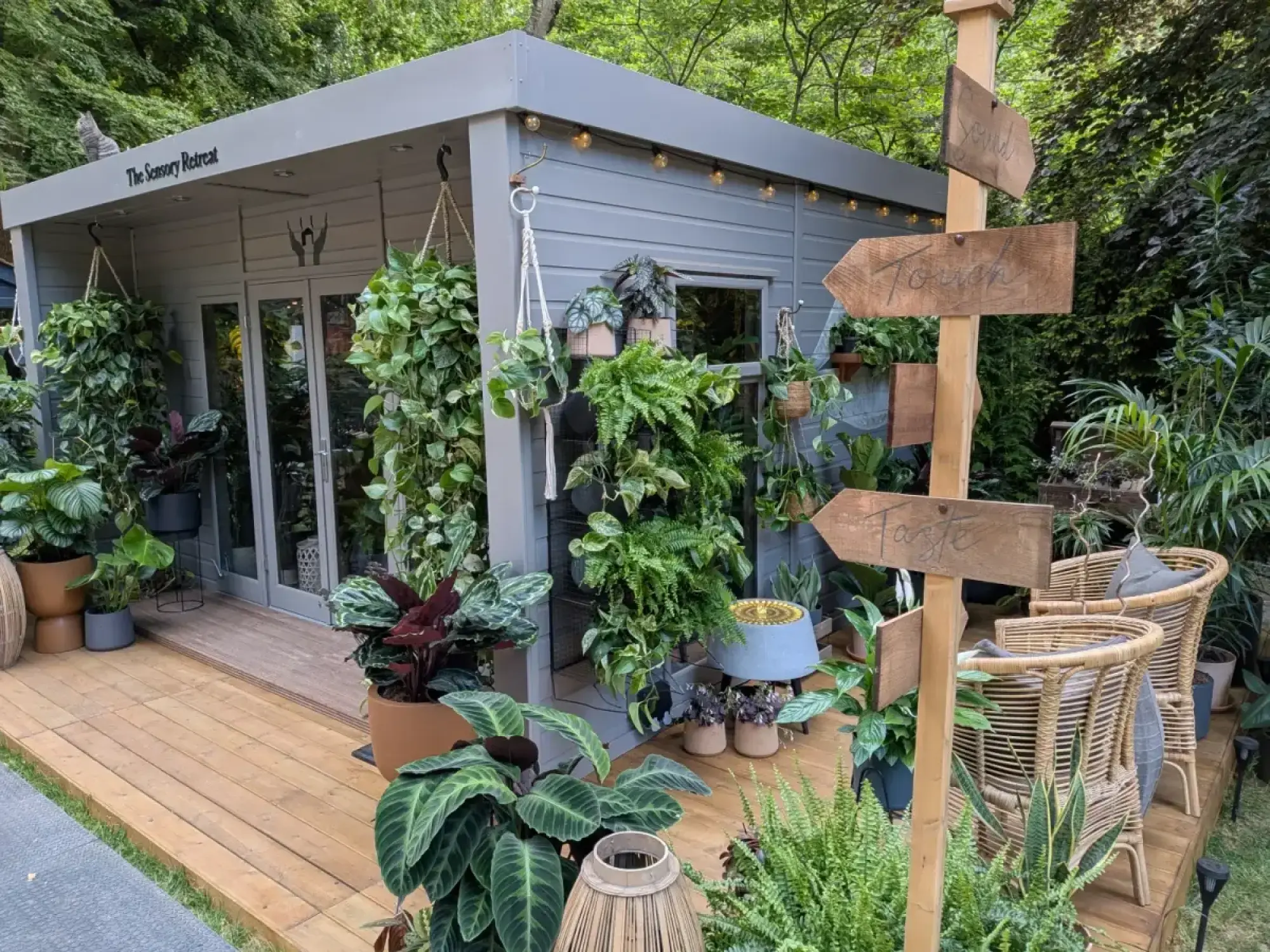 A grey timber houseplant studio on a wooden deck, filled with lush green foliage, hanging baskets, rattan chairs, and a wooden signpost.