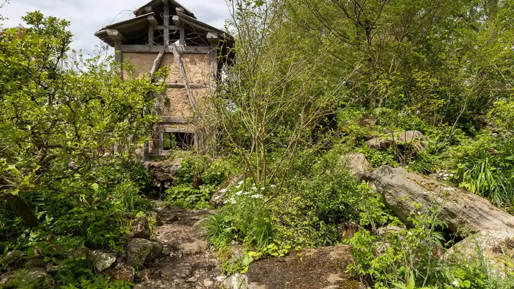 A wild, naturalistic garden features a timber-framed, wattle-and-daub cabin nestled among large mossy boulders, dense green foliage, and white wildflowers along a rough earth path.