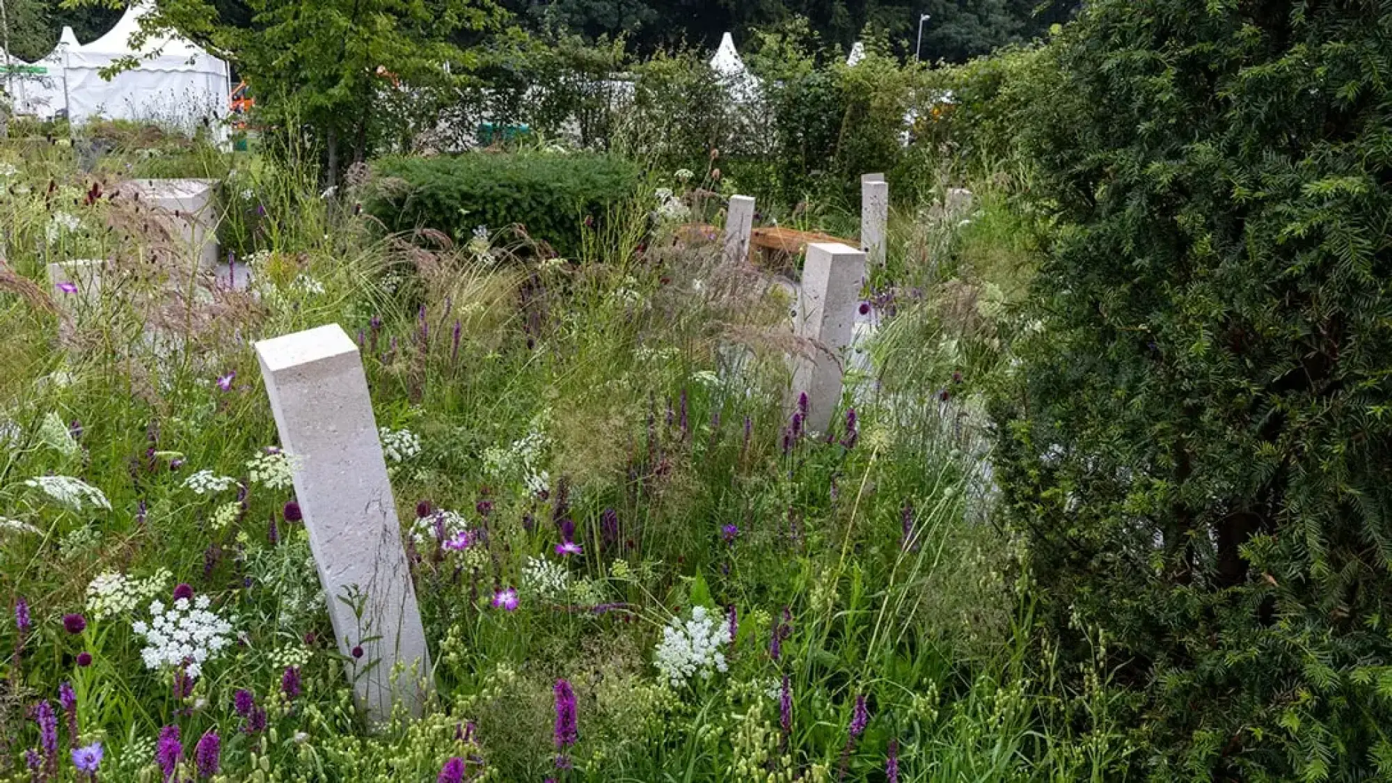 A naturalistic garden featuring tall grasses and wildflowers in shades of purple and white, interspersed with several grey concrete pillars and a wooden bench.