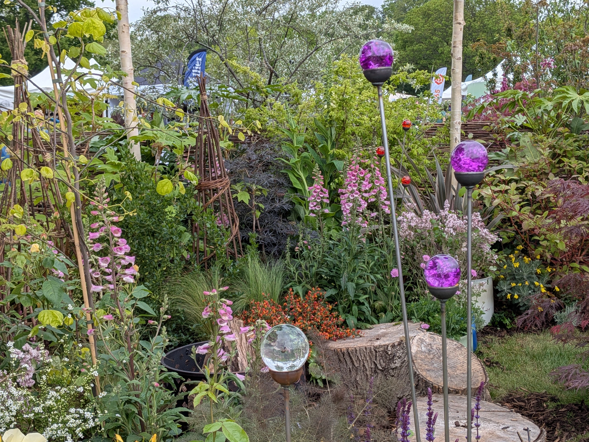 A lush naturalistic show garden features tall pink foxgloves, varied green and red foliage, multiple decorative glass globes on stakes, and large tree stumps.