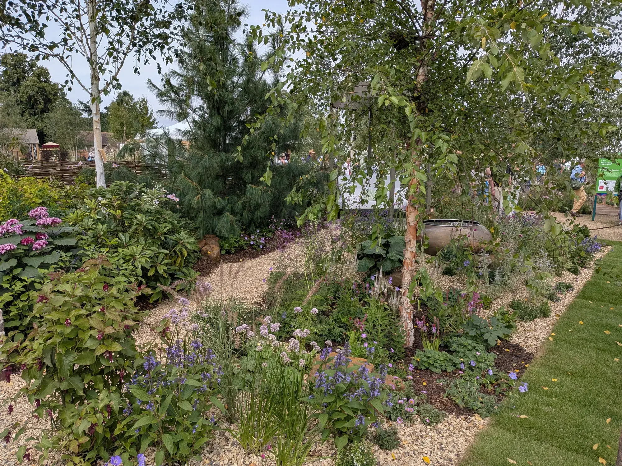 A tranquil Grow Forward garden featuring silver birch trees, a large metal urn, and a winding gravel path through informal plantings of purple and pink flowers and grasses.