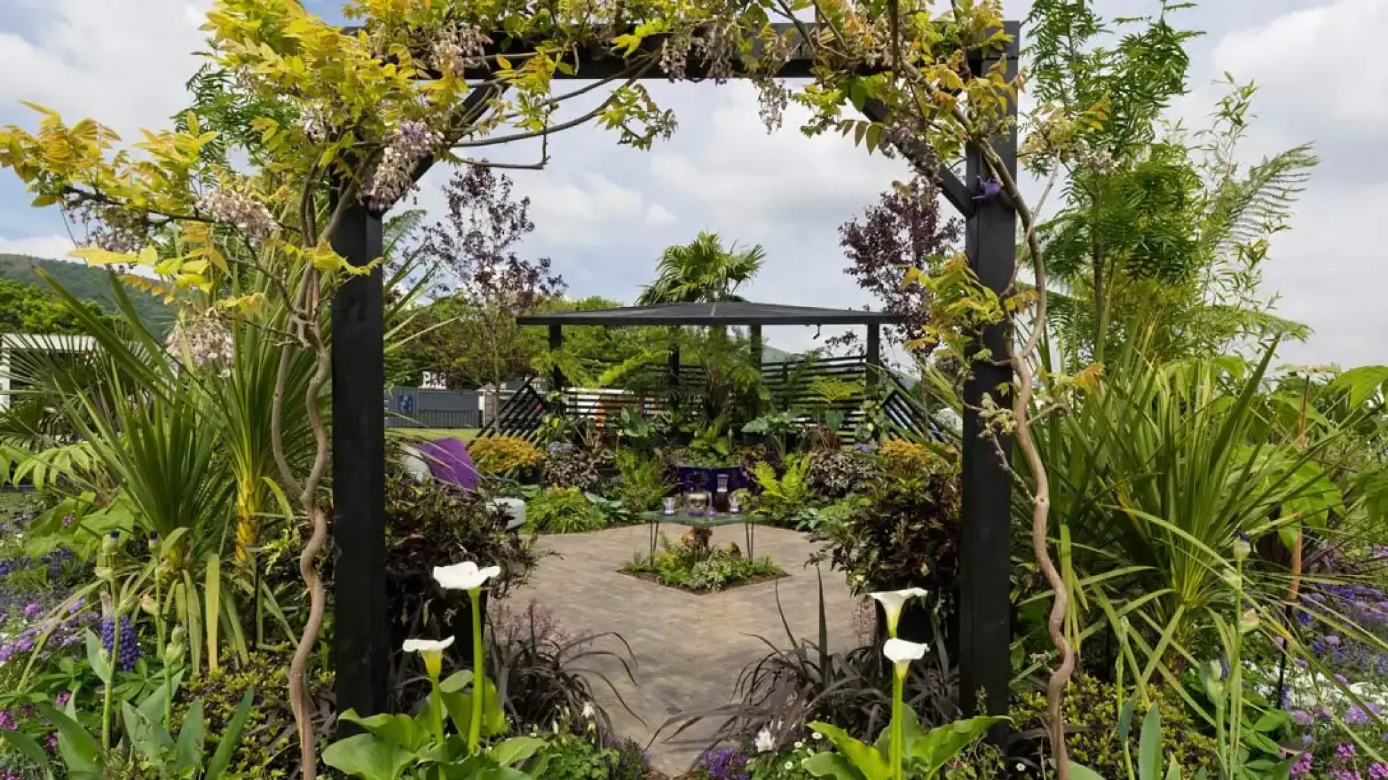 A contemporary show garden with a black wisteria pergola, geometric paved patio, black gazebo, and dense green and dark foliage with white calla lilies.