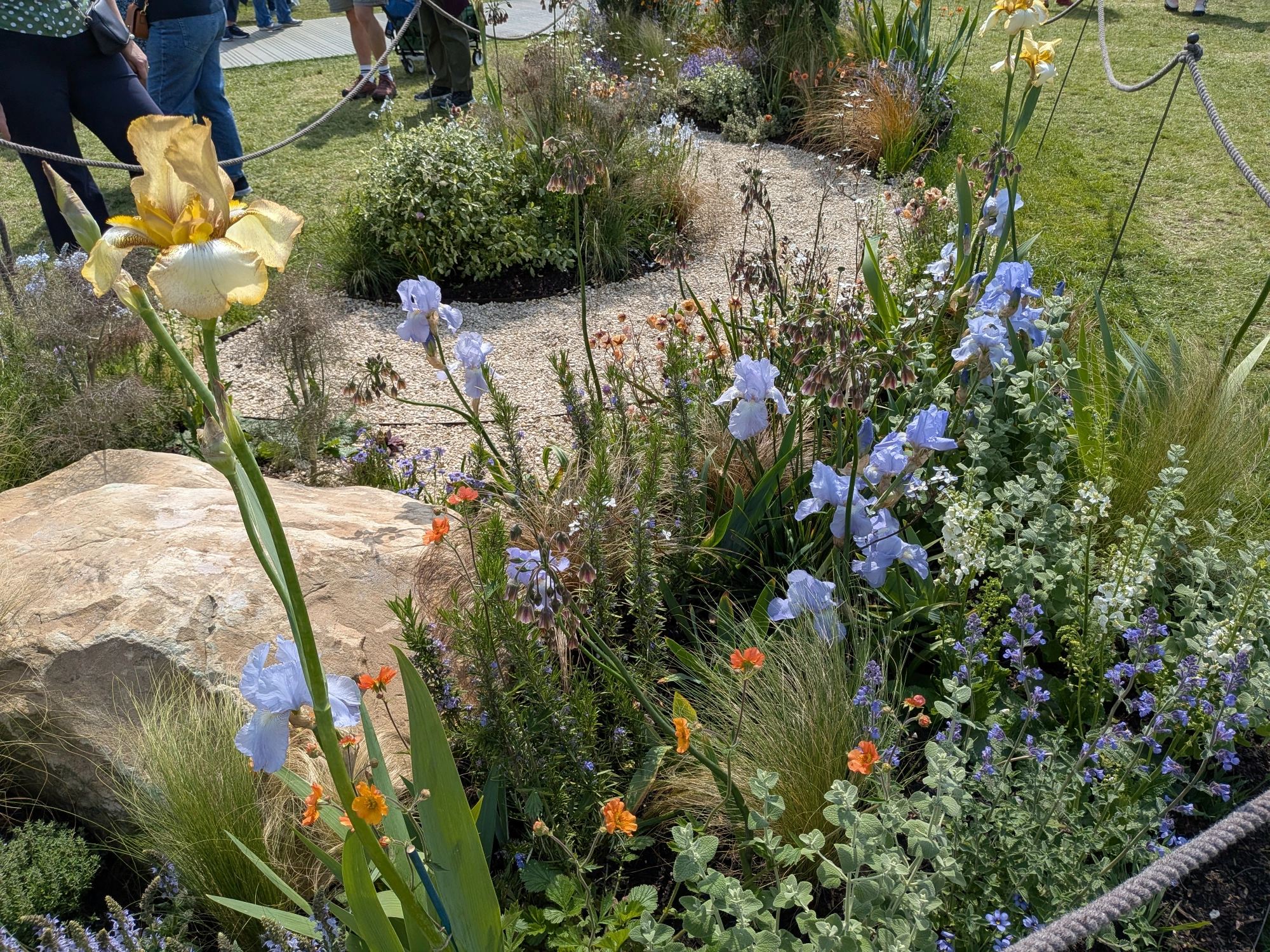 A naturalistic border garden features a winding gravel path, large boulder, yellow and blue irises, orange geums, purple flowers, and wispy grasses.