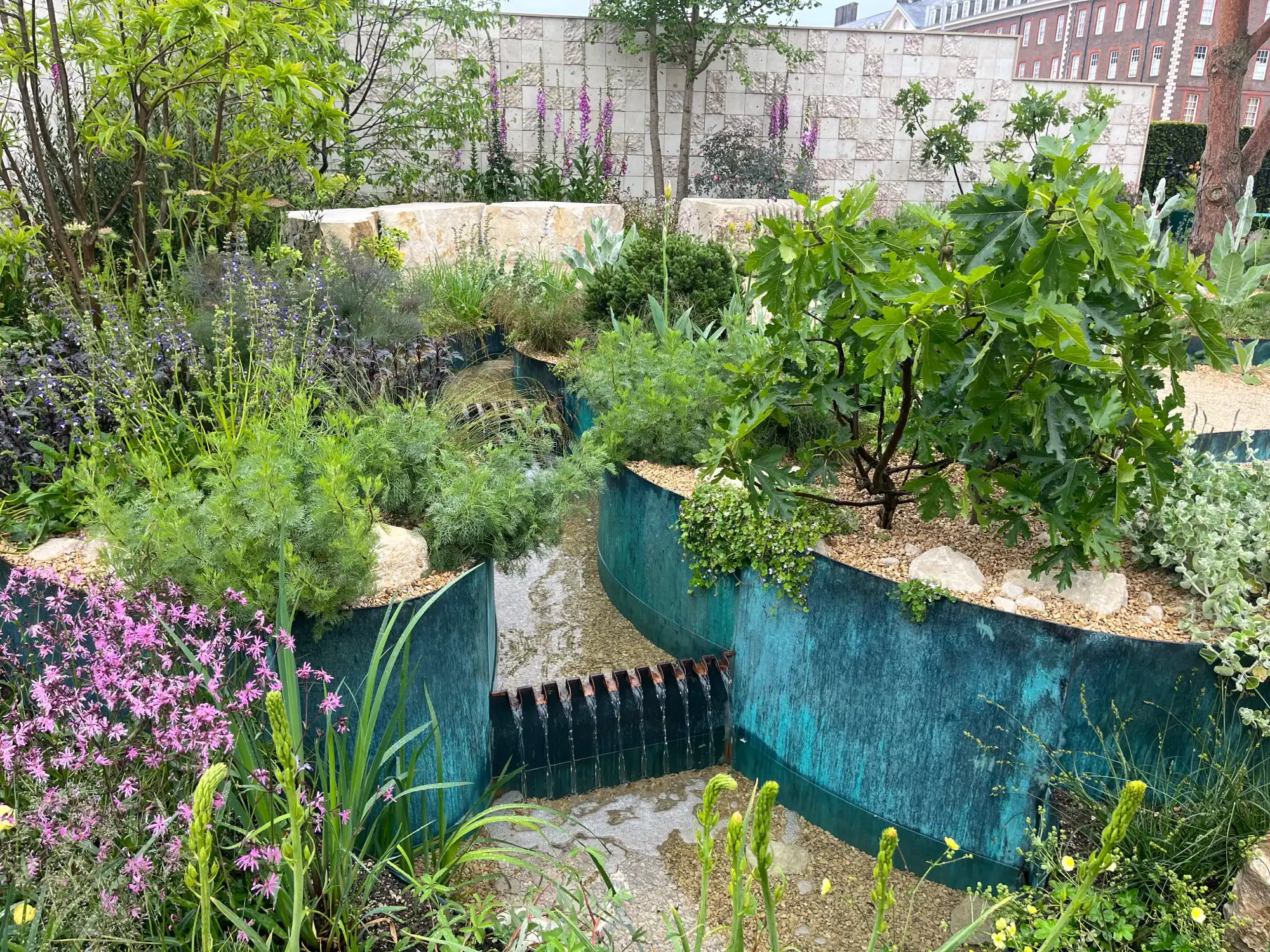 A contemporary garden features a verdigris copper water channel, lush foliage, a fig tree, purple foxgloves, pink wildflowers, and stone blocks.