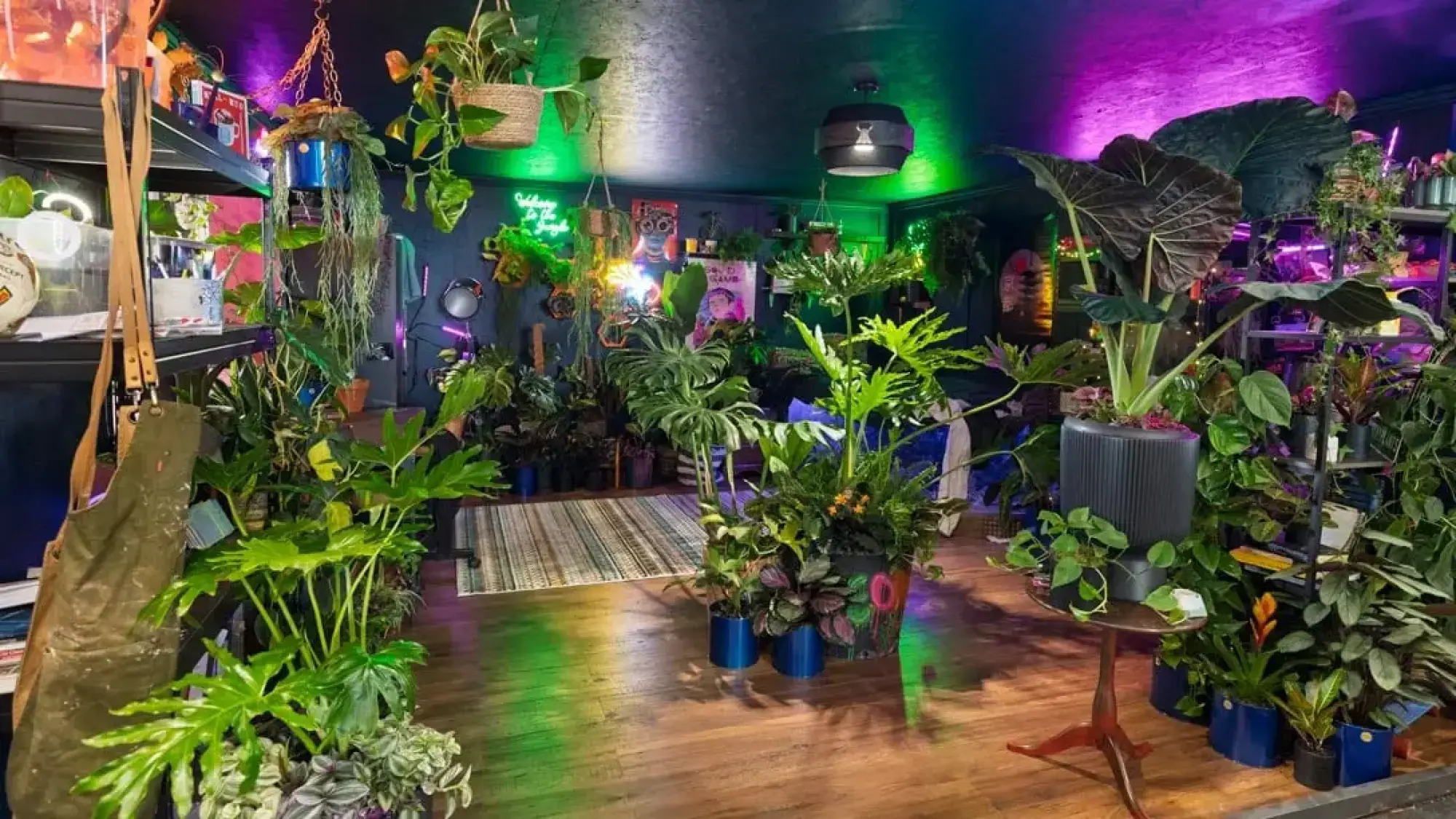 An indoor plant garden with dark walls and ceiling is illuminated by vibrant neon lights, showcasing a dense collection of diverse green plants in pots and hanging baskets.
