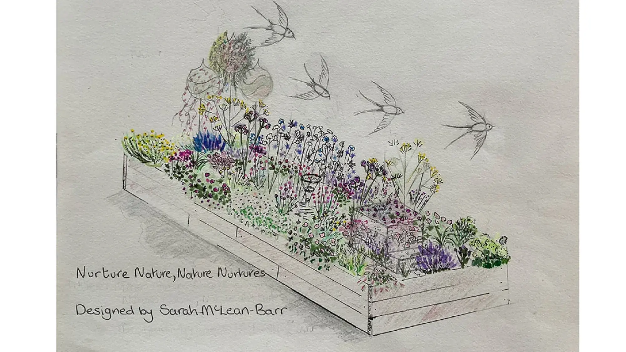 Nurture Nature - Nature Nurtures