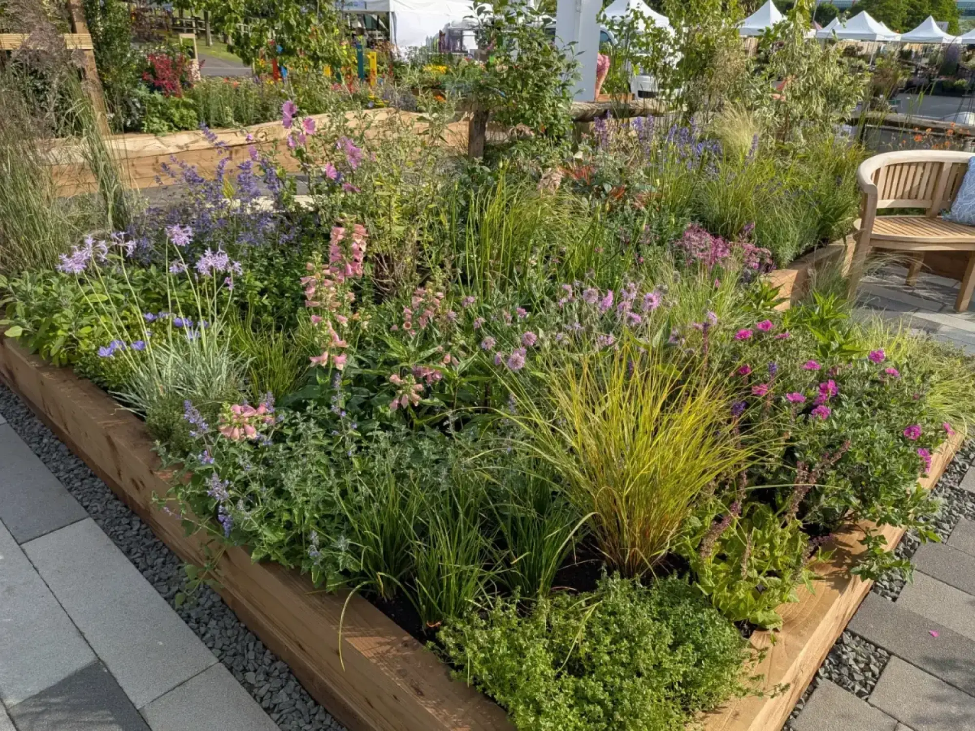A show garden with raised timber beds overflows with vibrant pink, purple, and yellow-green perennial plants and grasses, next to a curved wooden bench.