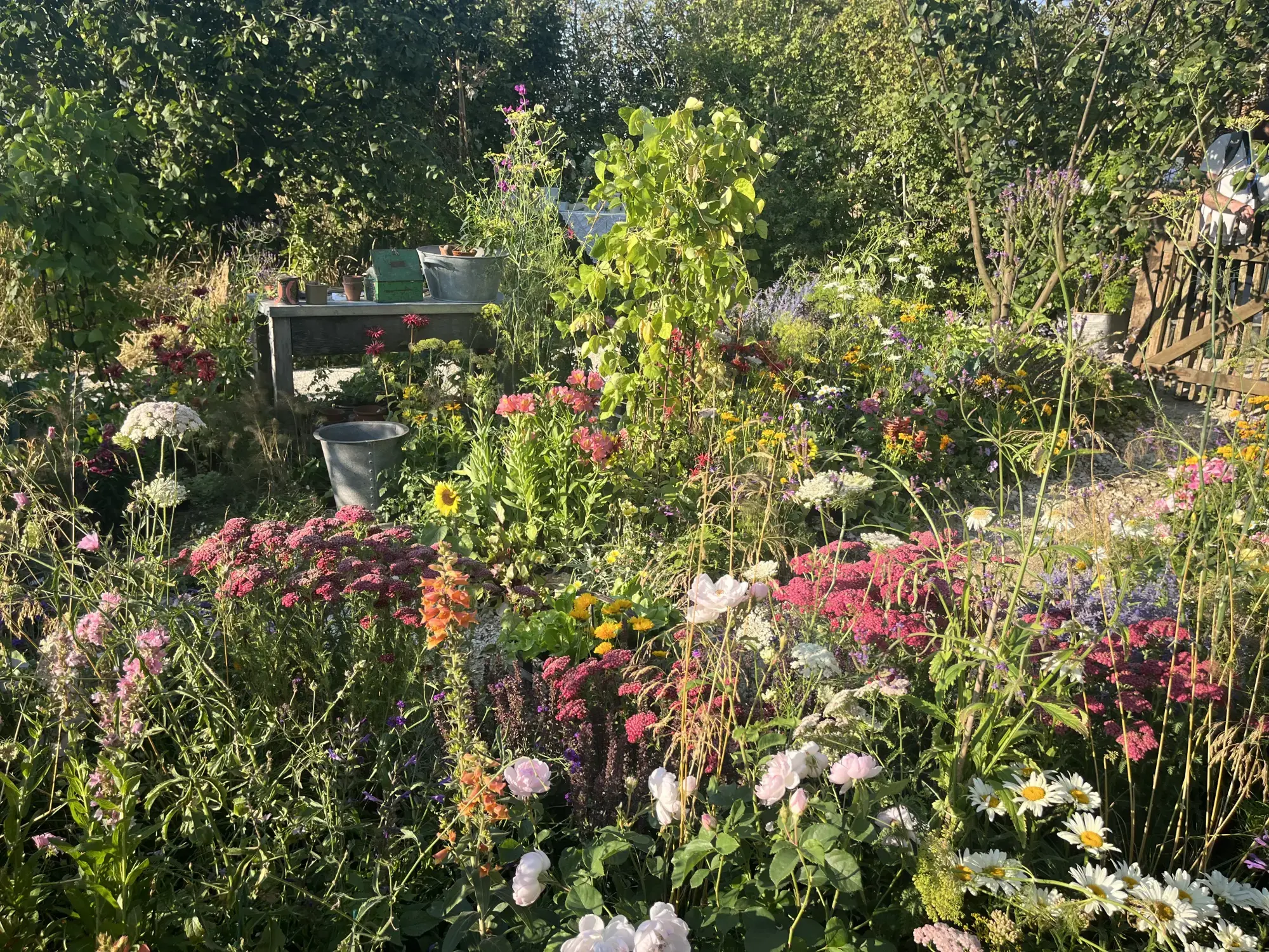 The Archers' 75th Anniversary Garden