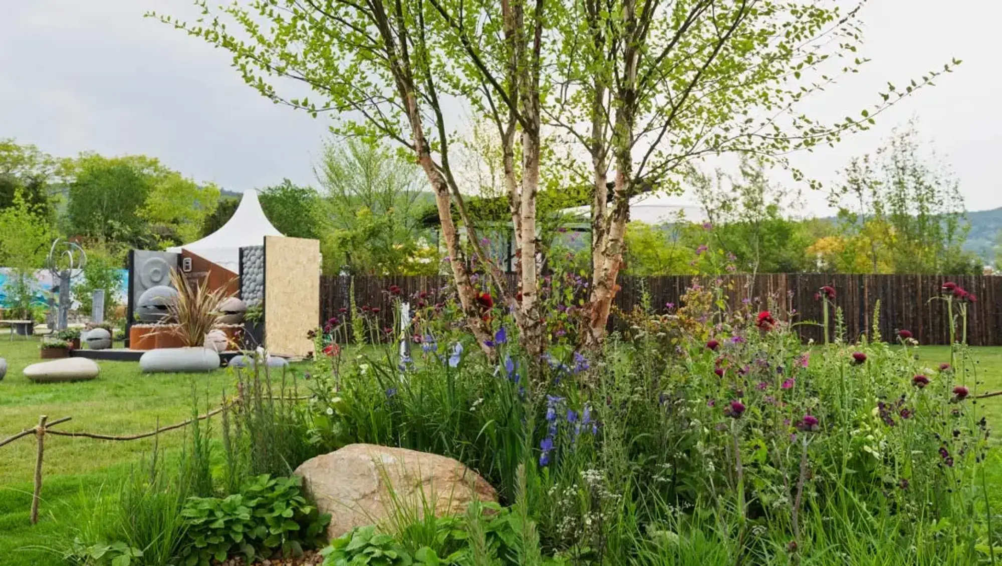 A contemporary feature garden featuring multi-stemmed birch trees, modern concrete spheres, and colourful naturalistic wildflowers.