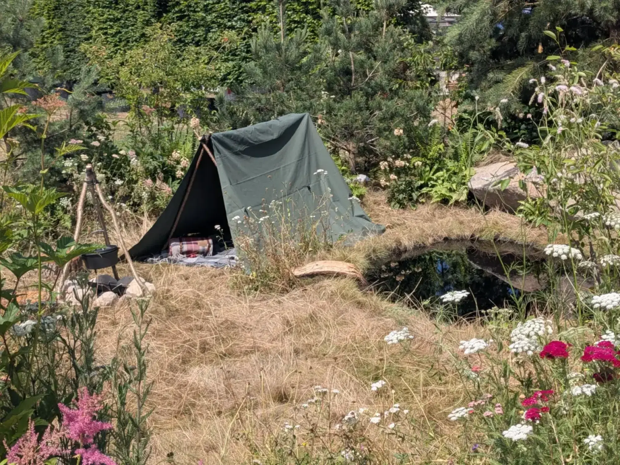 A dark green A-frame tent sits by a natural pond in a wild, rustic garden with dry grasses, wildflowers, and small pine trees.