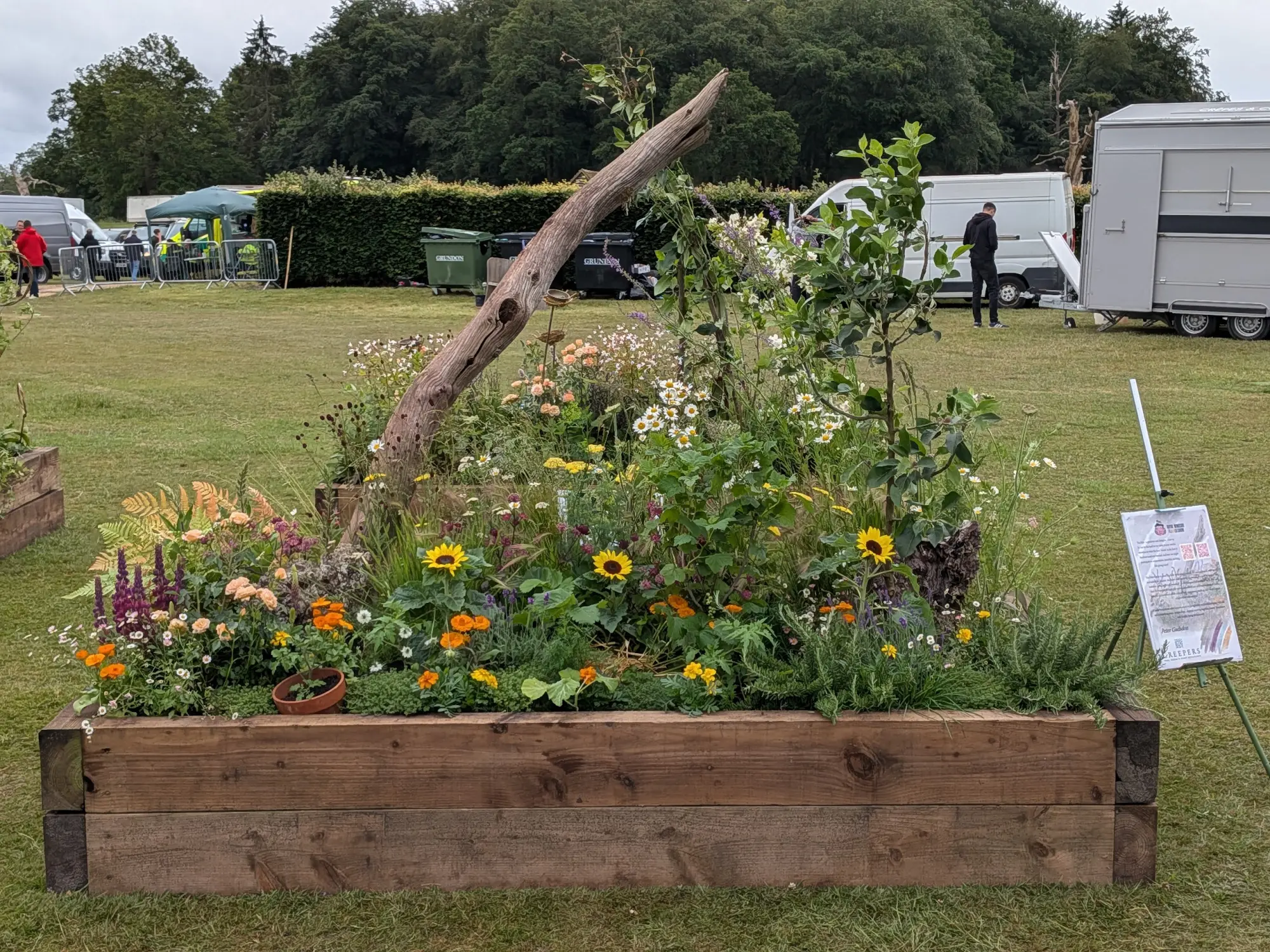 A vibrant, naturalistic garden in a timber raised bed features a gnarled deadwood branch, sunflowers, orange marigolds, white daisies, and purple flowers.