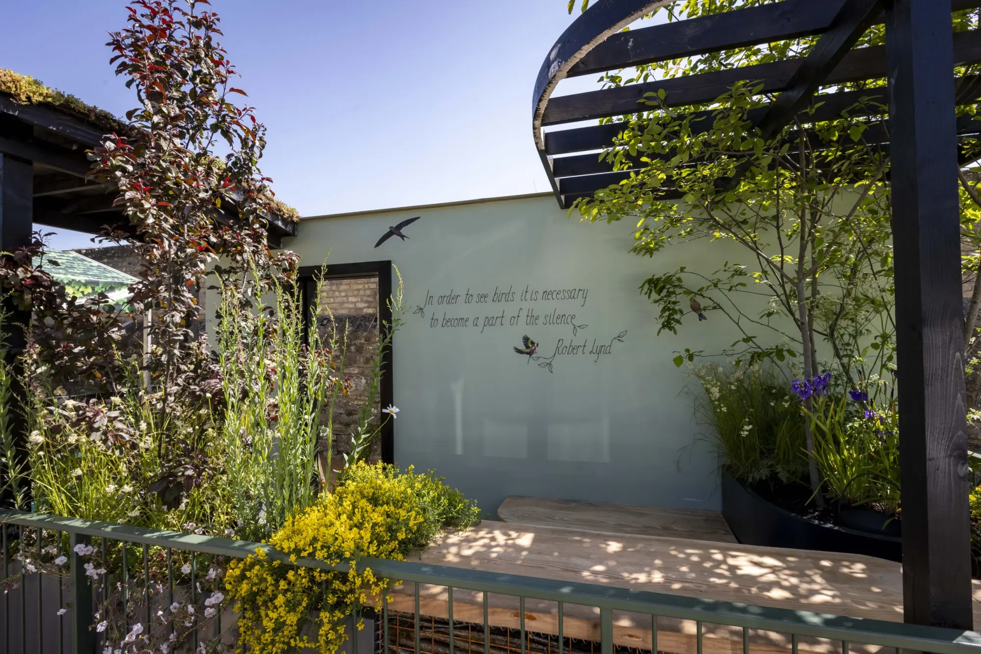 The Birdwatcher's Balcony Garden