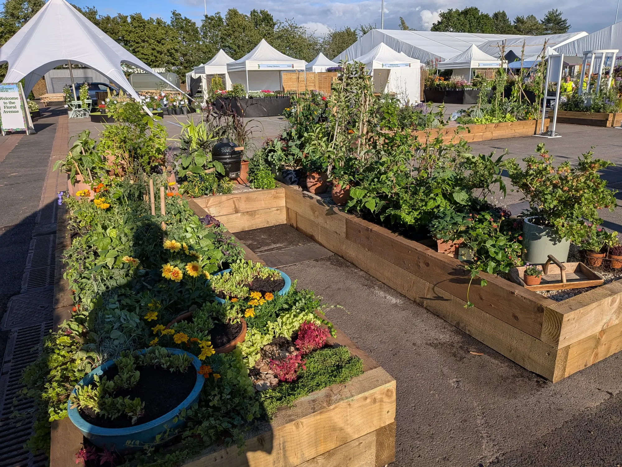 A productive 'Make a Metre Matter' garden featuring L-shaped timber raised beds filled with herbs, leafy greens, berries, and yellow flowers.