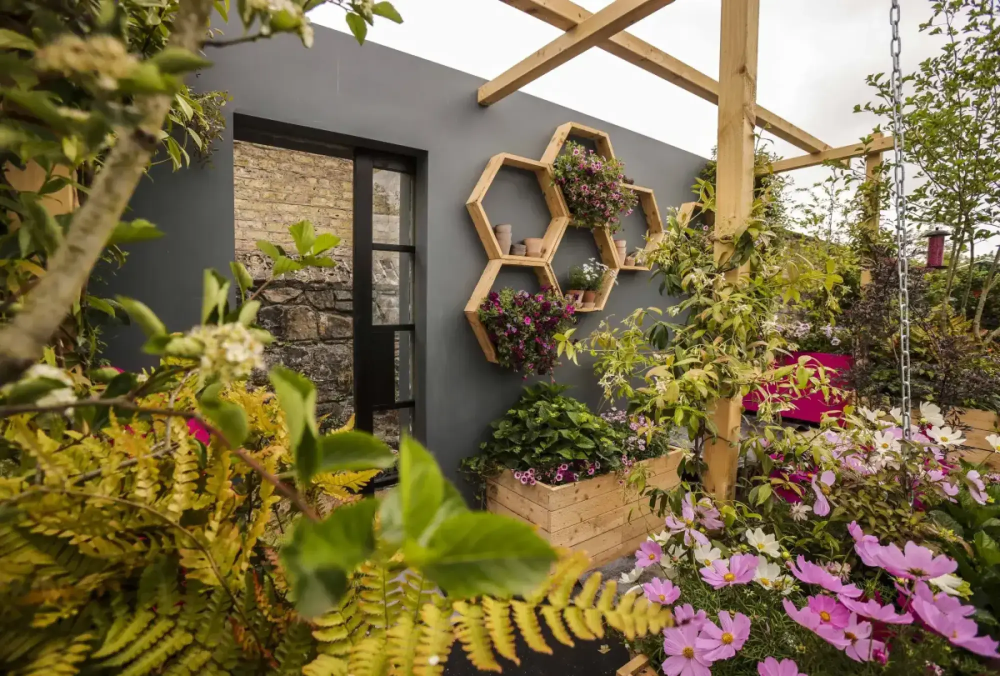A vibrant balcony garden displays hexagonal wooden wall planters, a pale timber pergola, and lush pink cosmos and purple petunias against a grey wall.