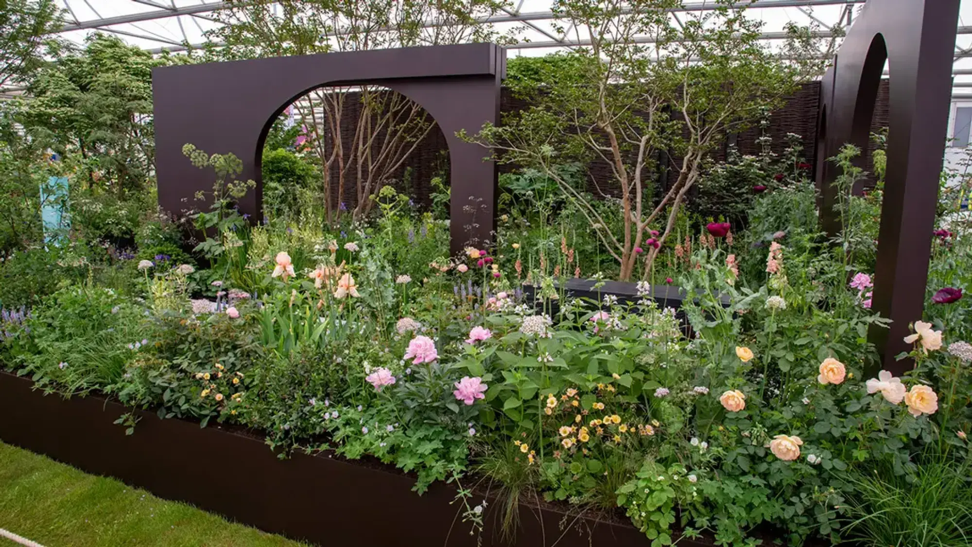 A lush, naturalistic garden featuring a dark brown raised planter and arched screen, overflowing with pink peonies, peach roses, and mixed perennials.