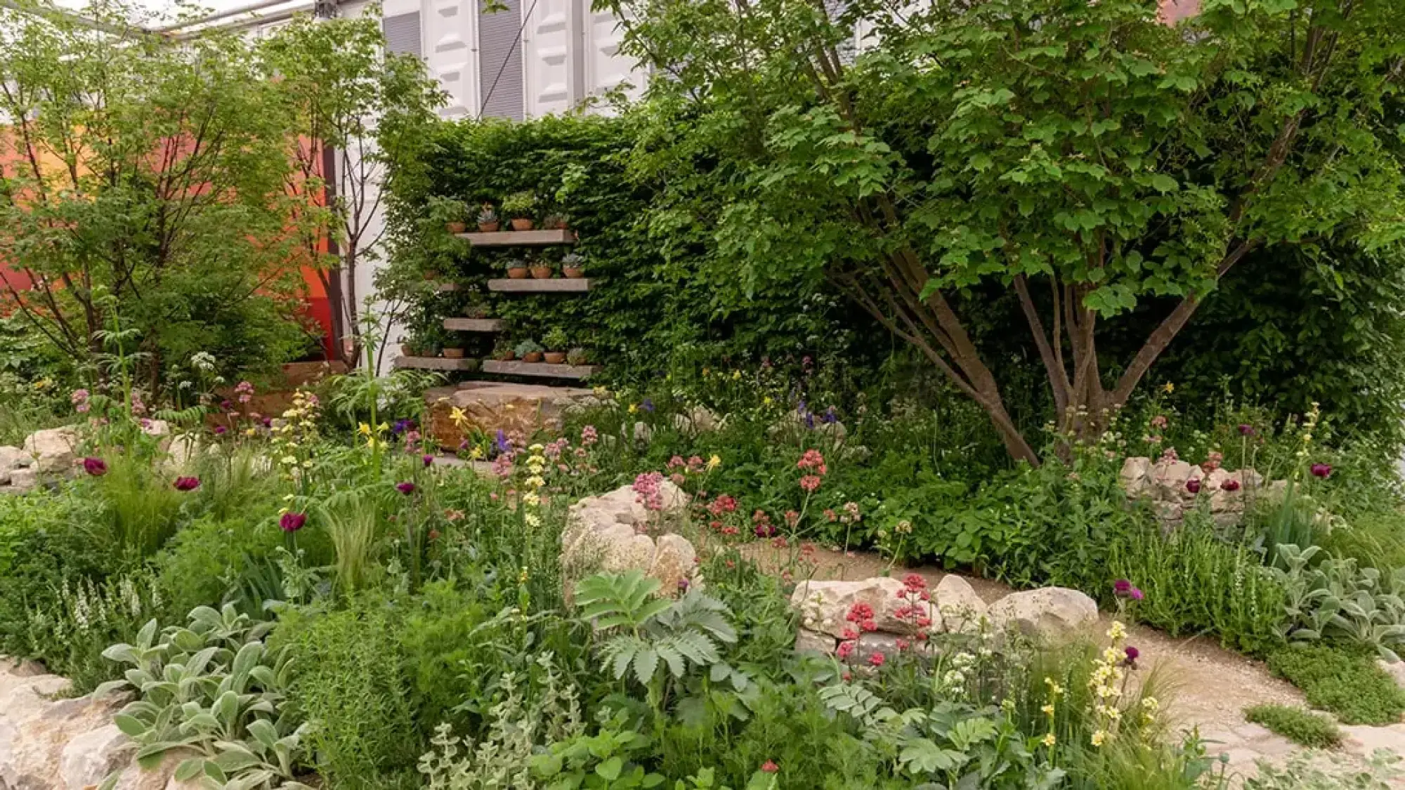A naturalistic garden features a dense mix of flowering perennials, large rocks, a gravel path, and a living wall with tiered shelves of terracotta pots.