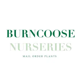 Burncoose Nurseries