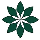 Guernsey Clematis