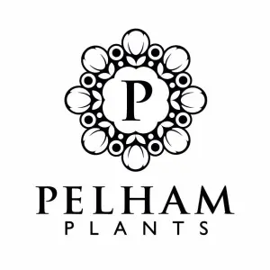 Pelham Plants
